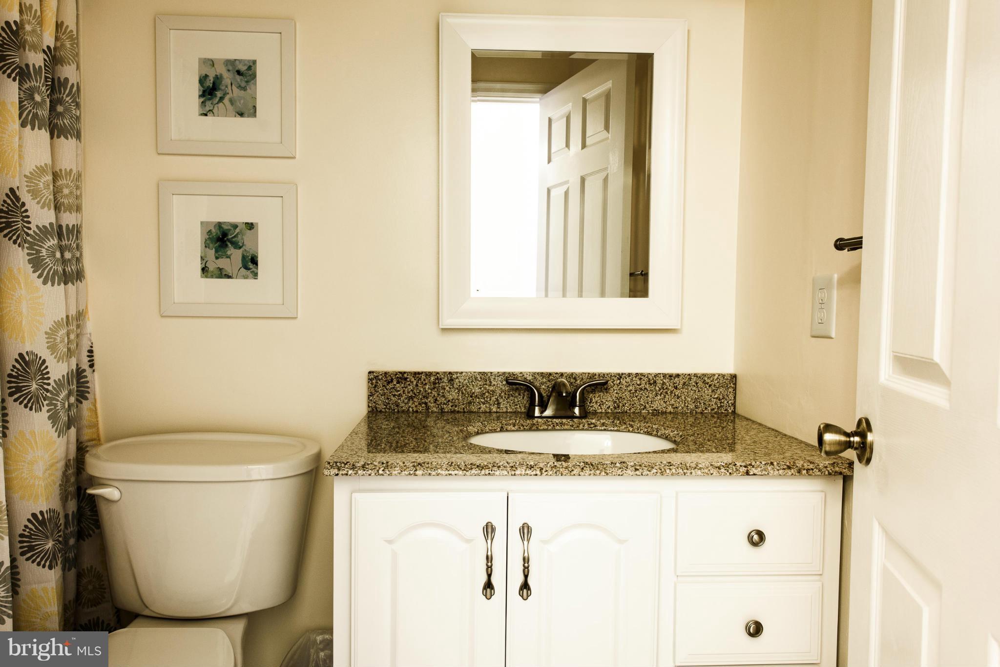 306 Leafcup Road Gaithersburg, MD 20878 - Photo 16 of 24 Bath (Master)