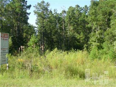 1 Benton Road Southeast Supply, NC 28462 - Photo 1 of 2 Primary Photo