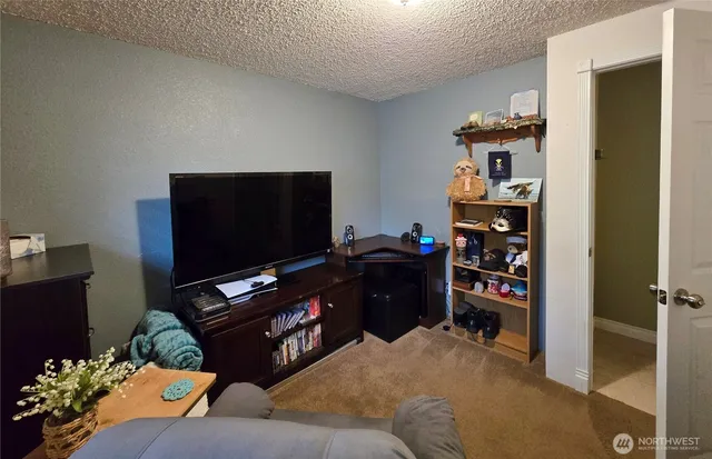 a bed room with a bed and a television