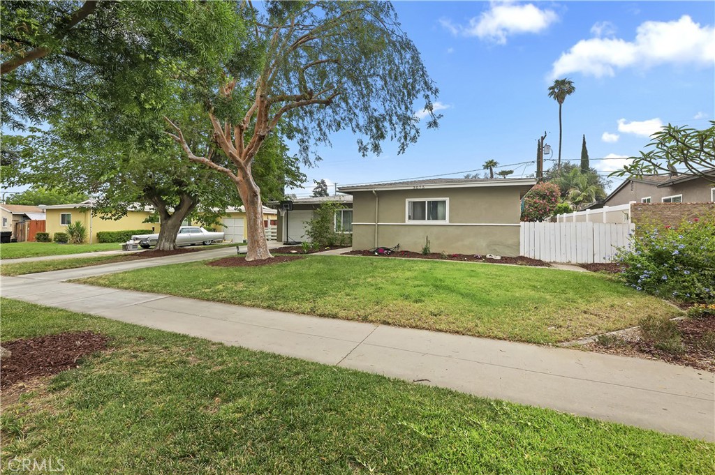 3075 Ronald Street Riverside, CA 92506 - Photo 4 of 30 a view of a house with a yard and large tree