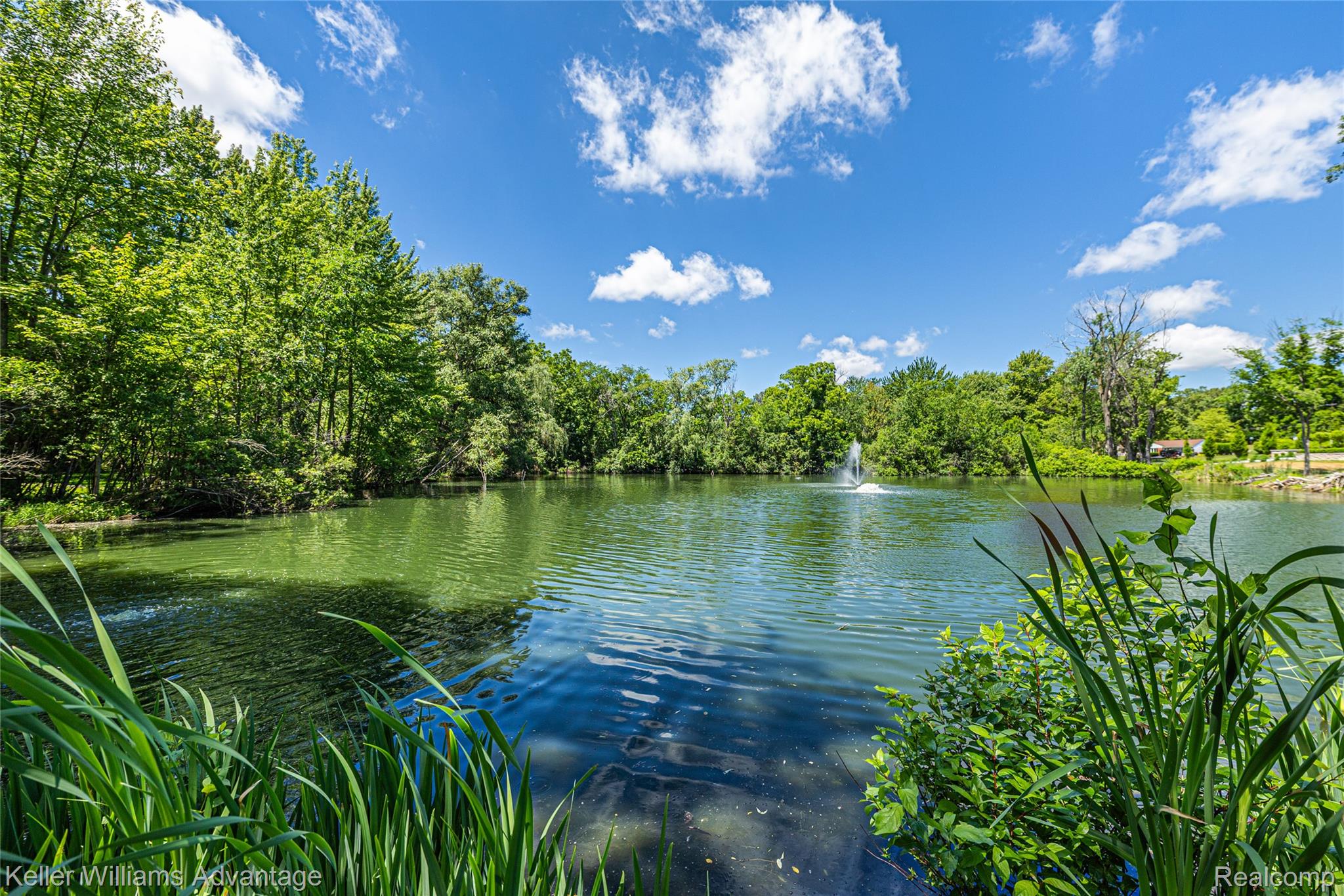 5722 Raven Road Bloomfield Hills, MI 48301 - Photo 6 of 34 Tranquil pond with a central water feature, surrounded by mature trees and lush greenery