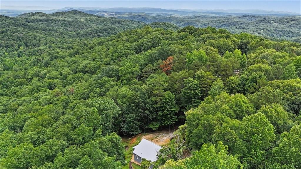 1002 Raccoon Ridge Northeast Ranger, GA 30734 - Photo 46 of 77