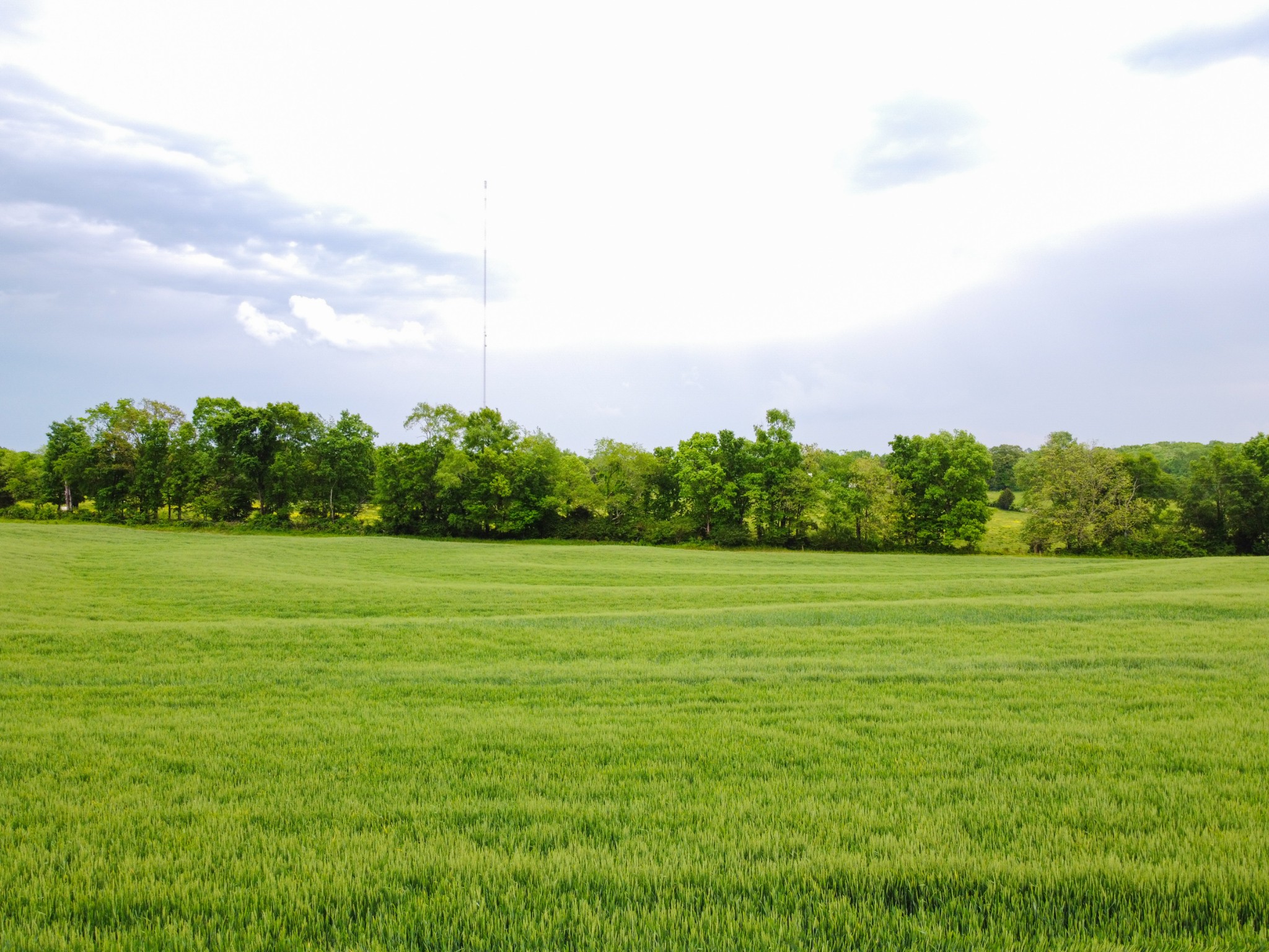 a view of a field with an trees