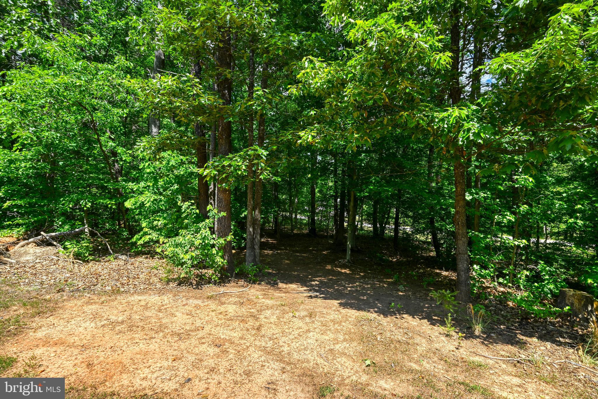 1176 Signboard Road Bumpass, VA 23024 - Photo 11 of 45