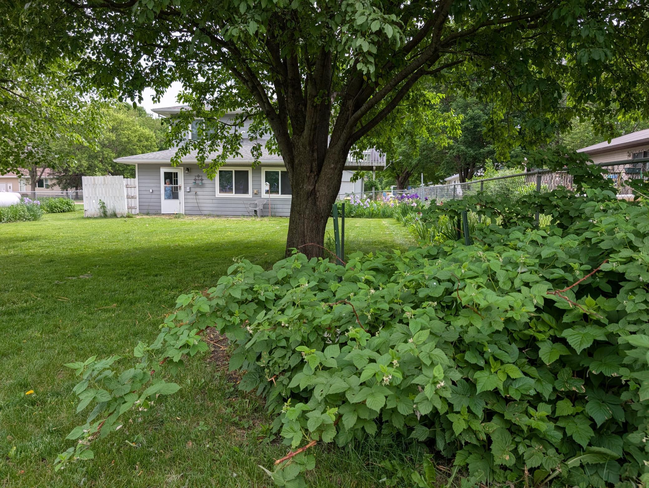 501 Prospect Street Milroy, MN 56263 - Photo 19 of 21