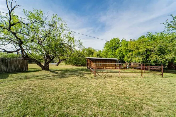 a view of a big yard with plants and large trees