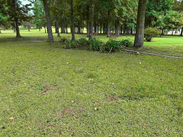 $220,000 | 138 Bruce Road, Havana, FL 32333