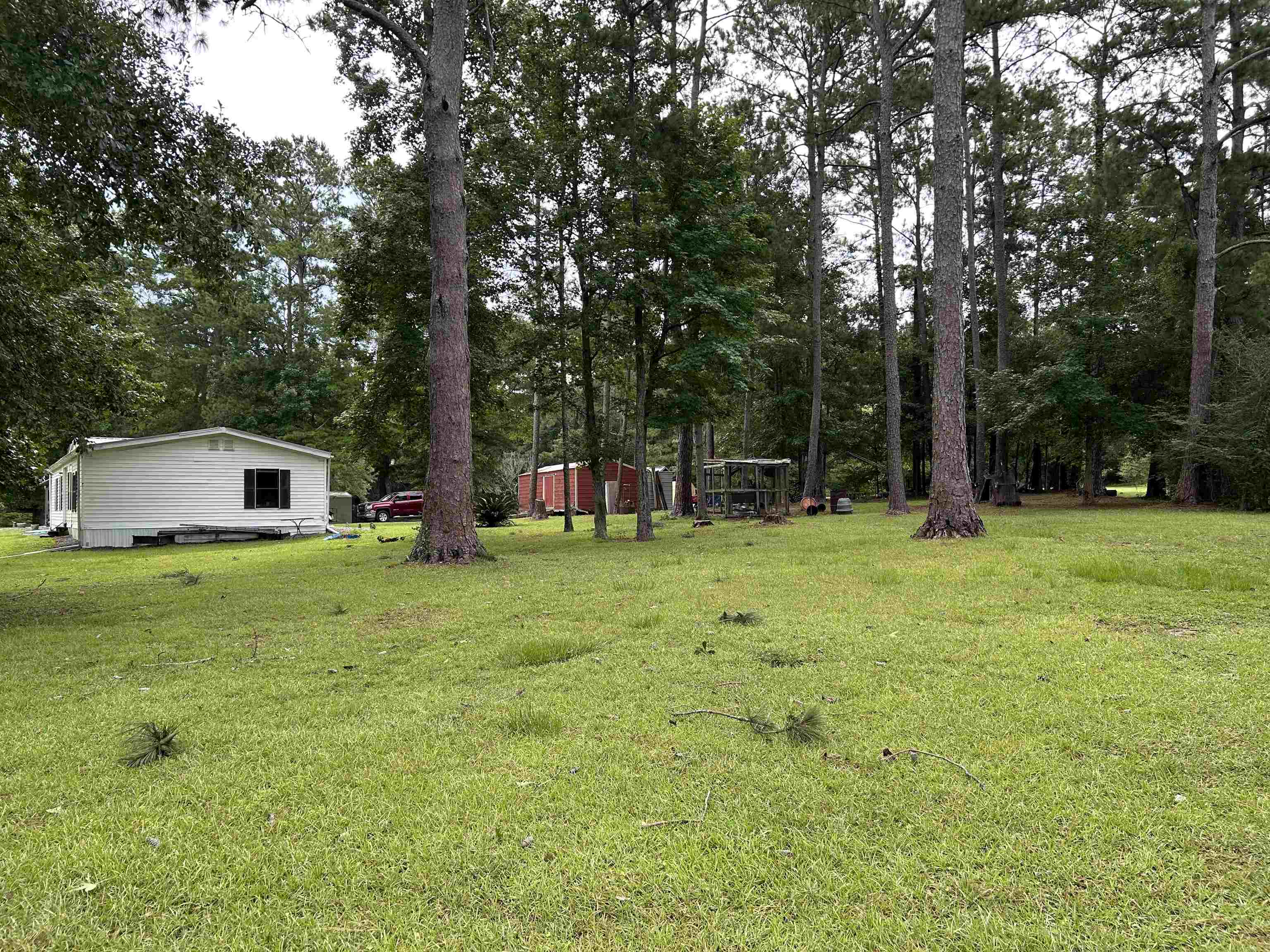 138 Bruce Road Havana, FL 32333 - Photo 10 of 17