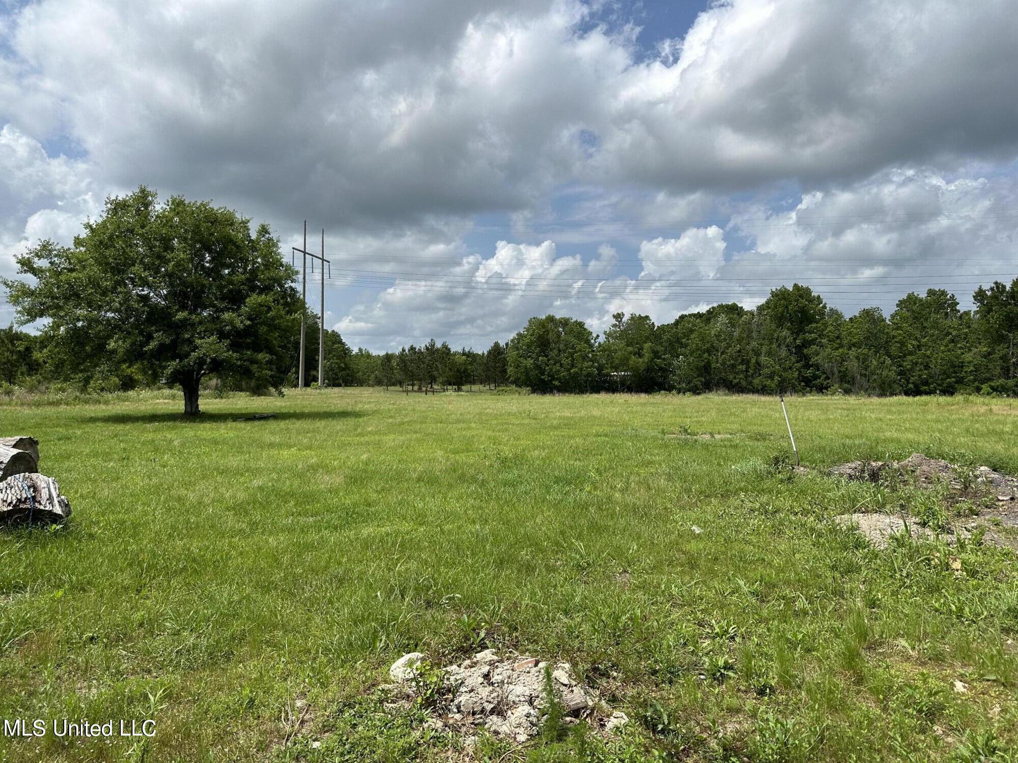 29 Old Mill Road Picayune, MS 39466 - Photo 4 of 10 Land View 1 Old Mill