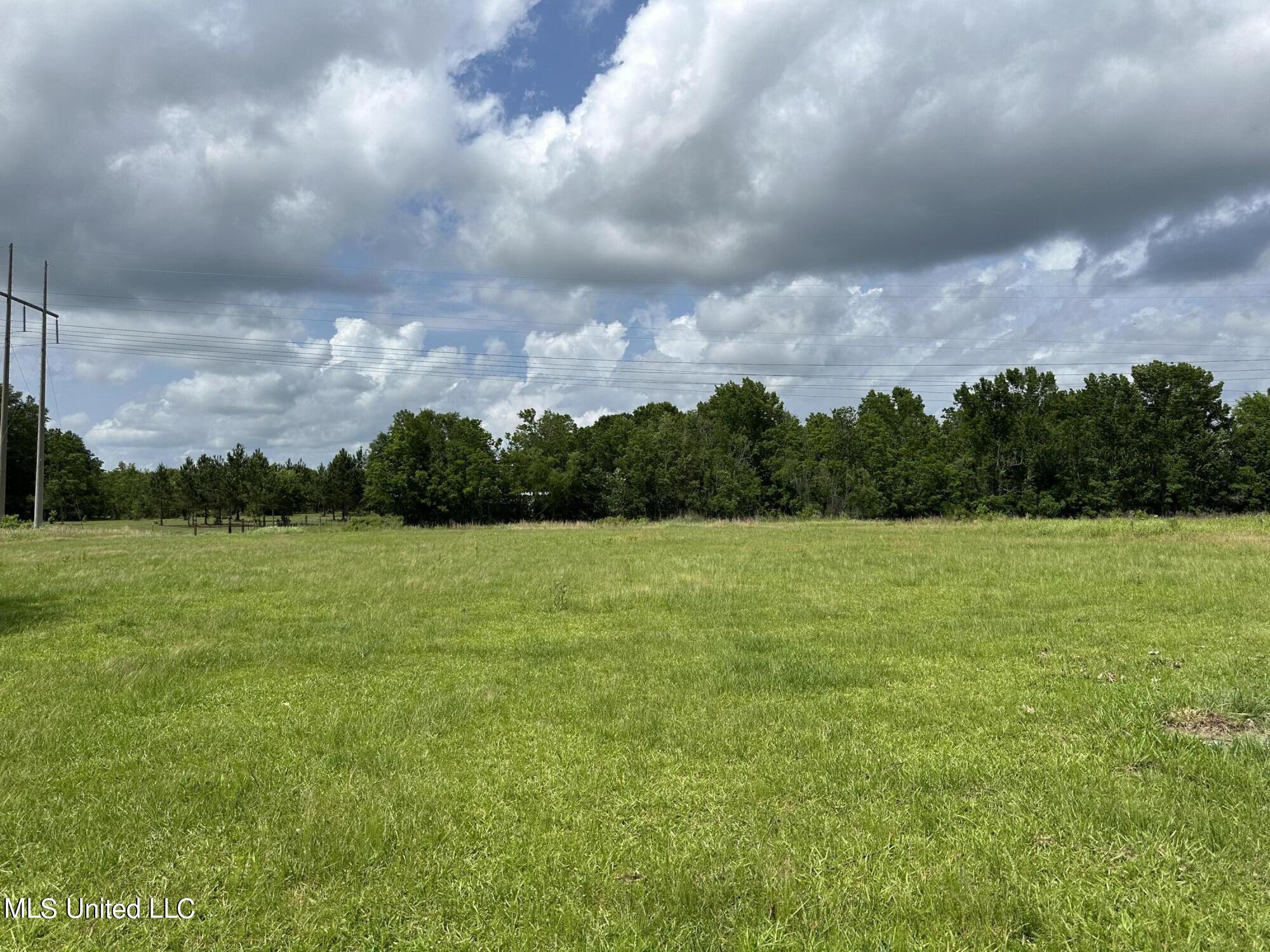 29 Old Mill Road Picayune, MS 39466 - Photo 10 of 10 Land View 2