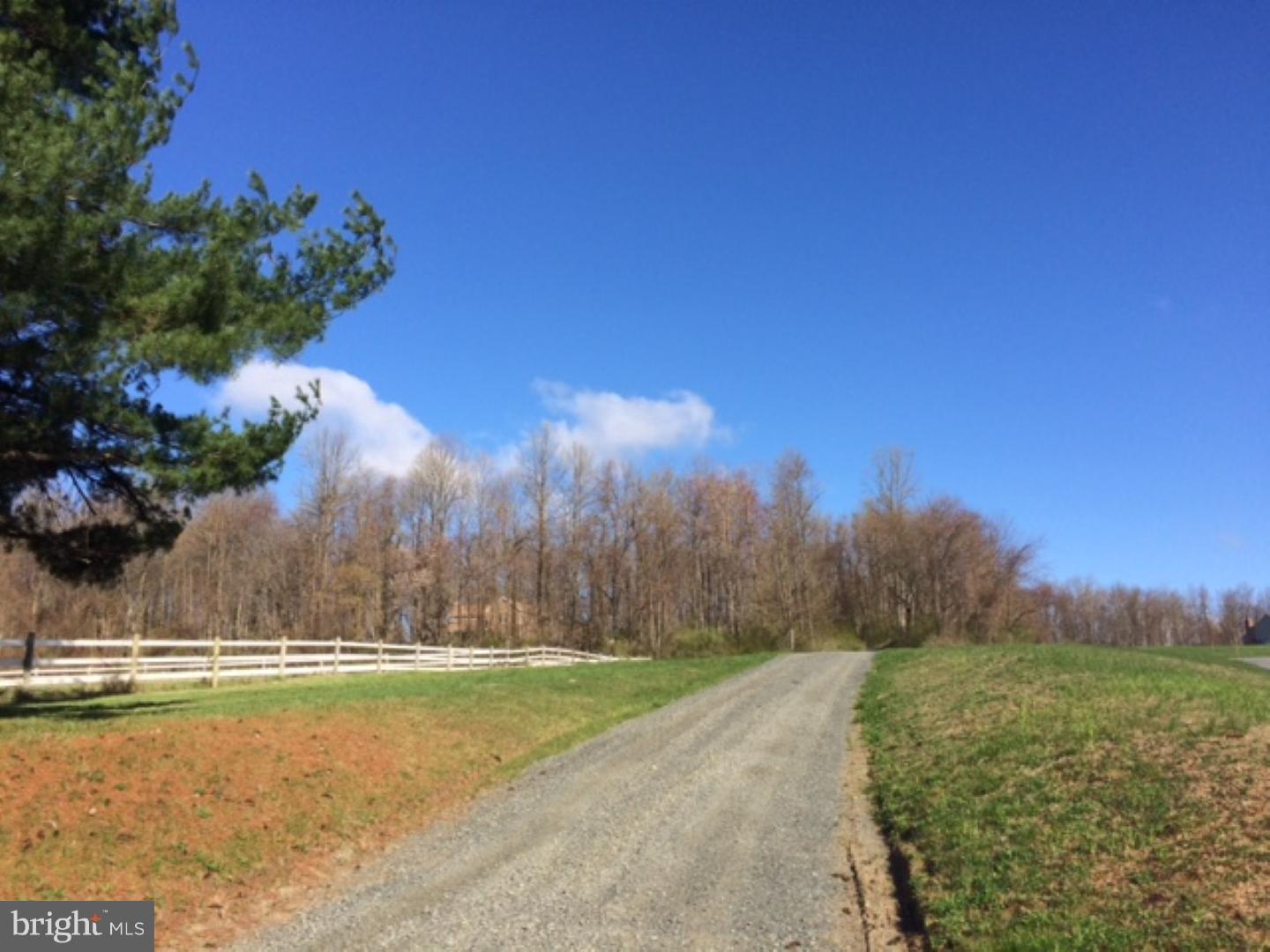 360 Treichler Road Alburtis, PA 18011 - Photo 5 of 25 Driveway