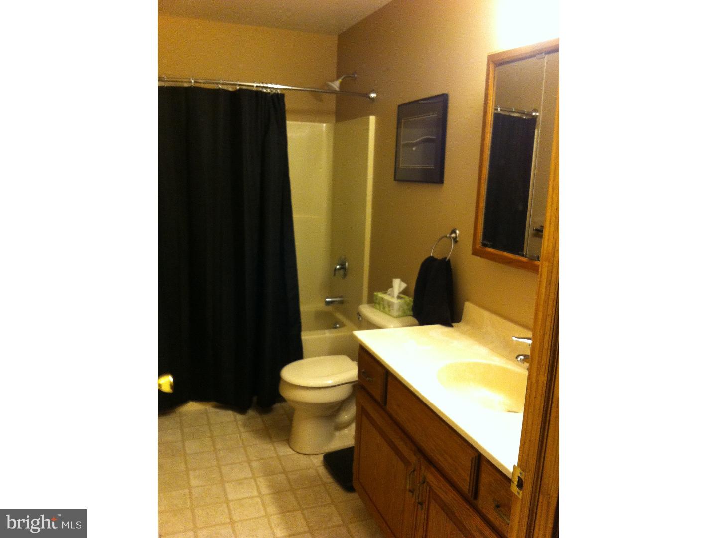 360 Treichler Road Alburtis, PA 18011 - Photo 9 of 25 Bathroom