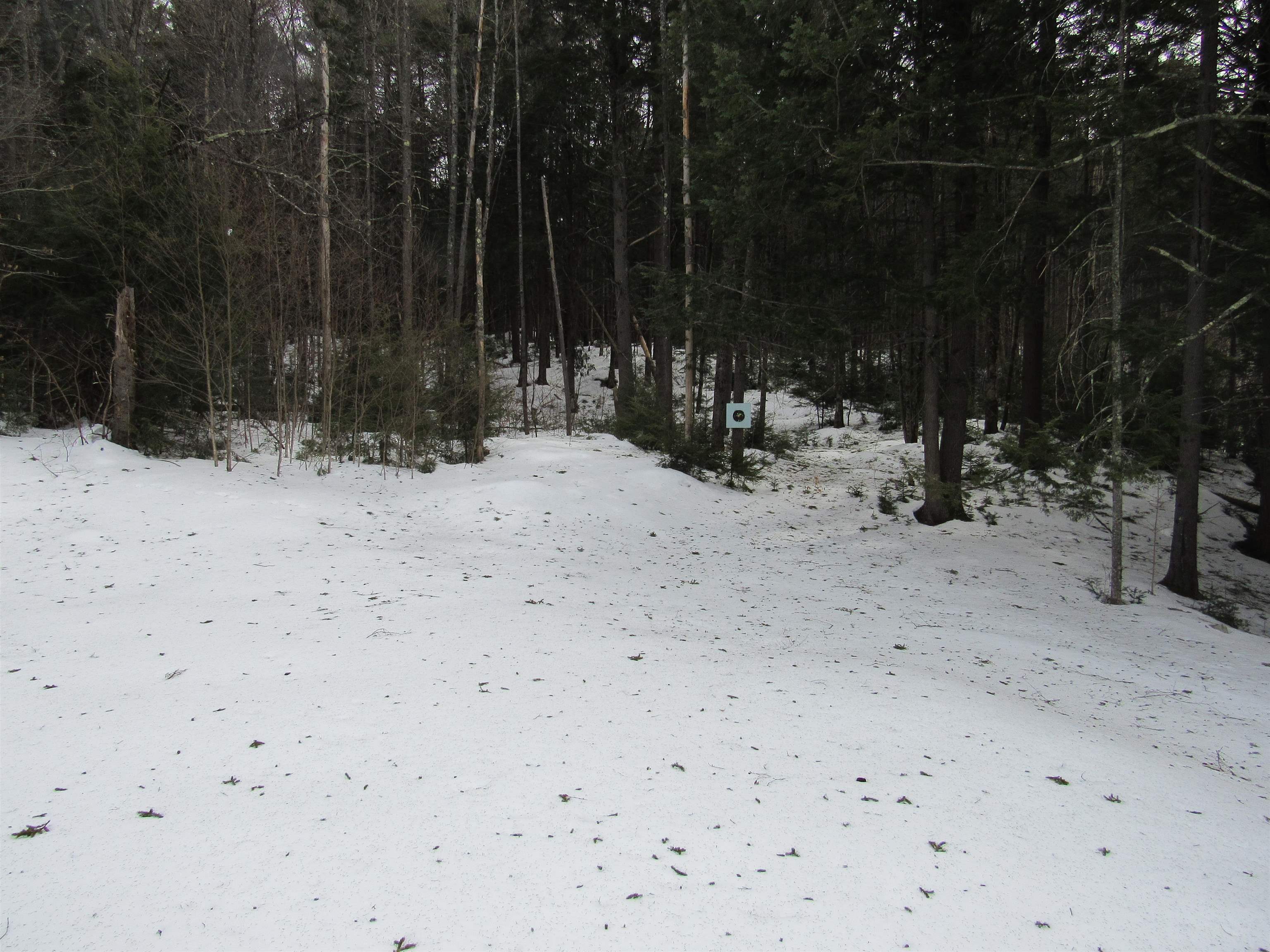 466 Wheeler Road Windham, VT 05359 - Photo 40 of 45