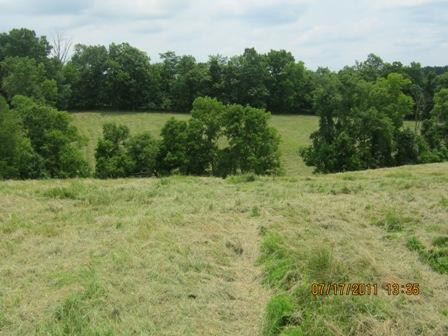 1354 Birdie Road Lawrenceburg, KY 40342 - Photo 4 of 55 Photo 4