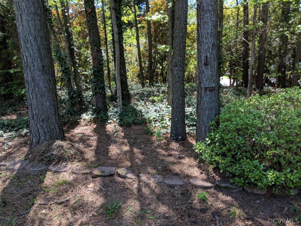 10171 Atlee Ridge Road Mechanicsville, VA 23116 - Photo 23 of 24 Gallery Image 23
