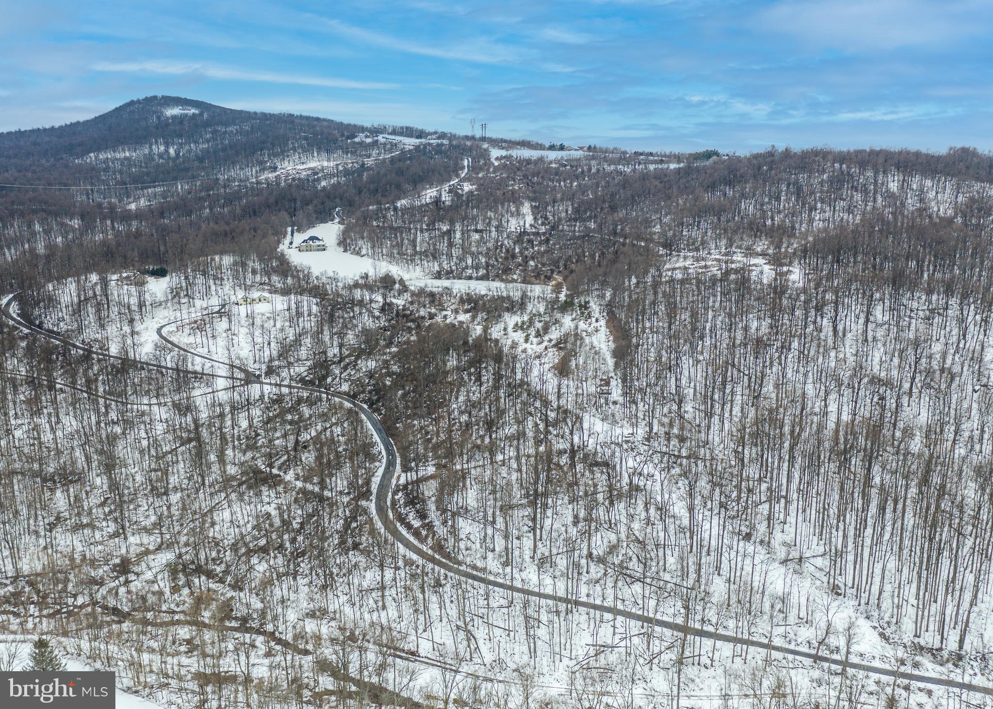 0 CCC Road Linden, VA 22642 - Photo 11 of 53
