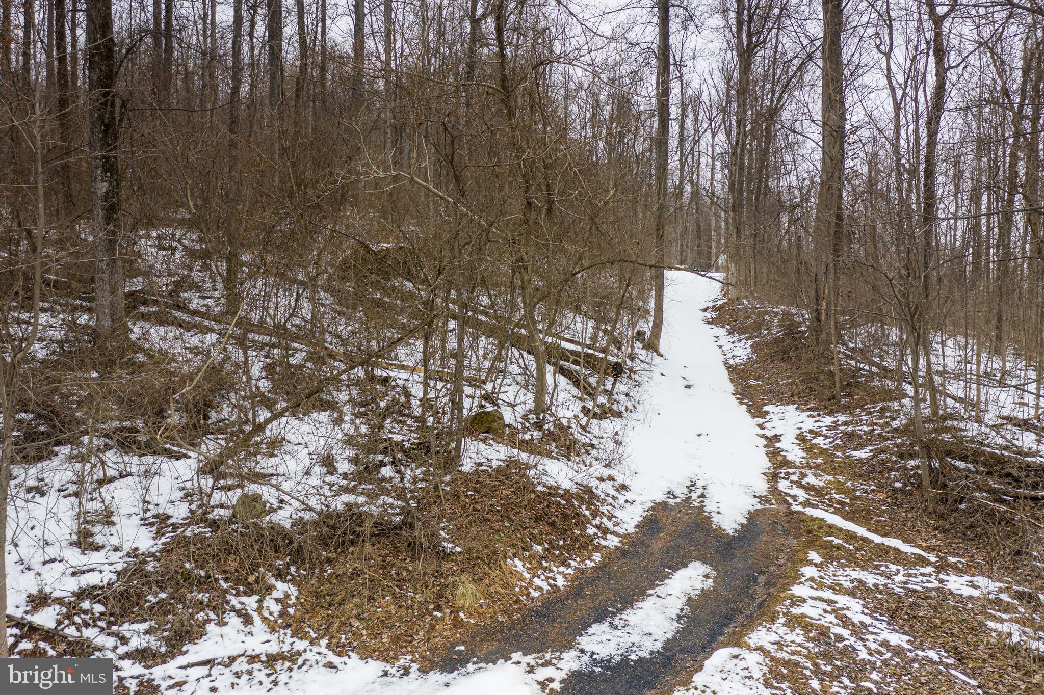 0 CCC Road Linden, VA 22642 - Photo 12 of 53