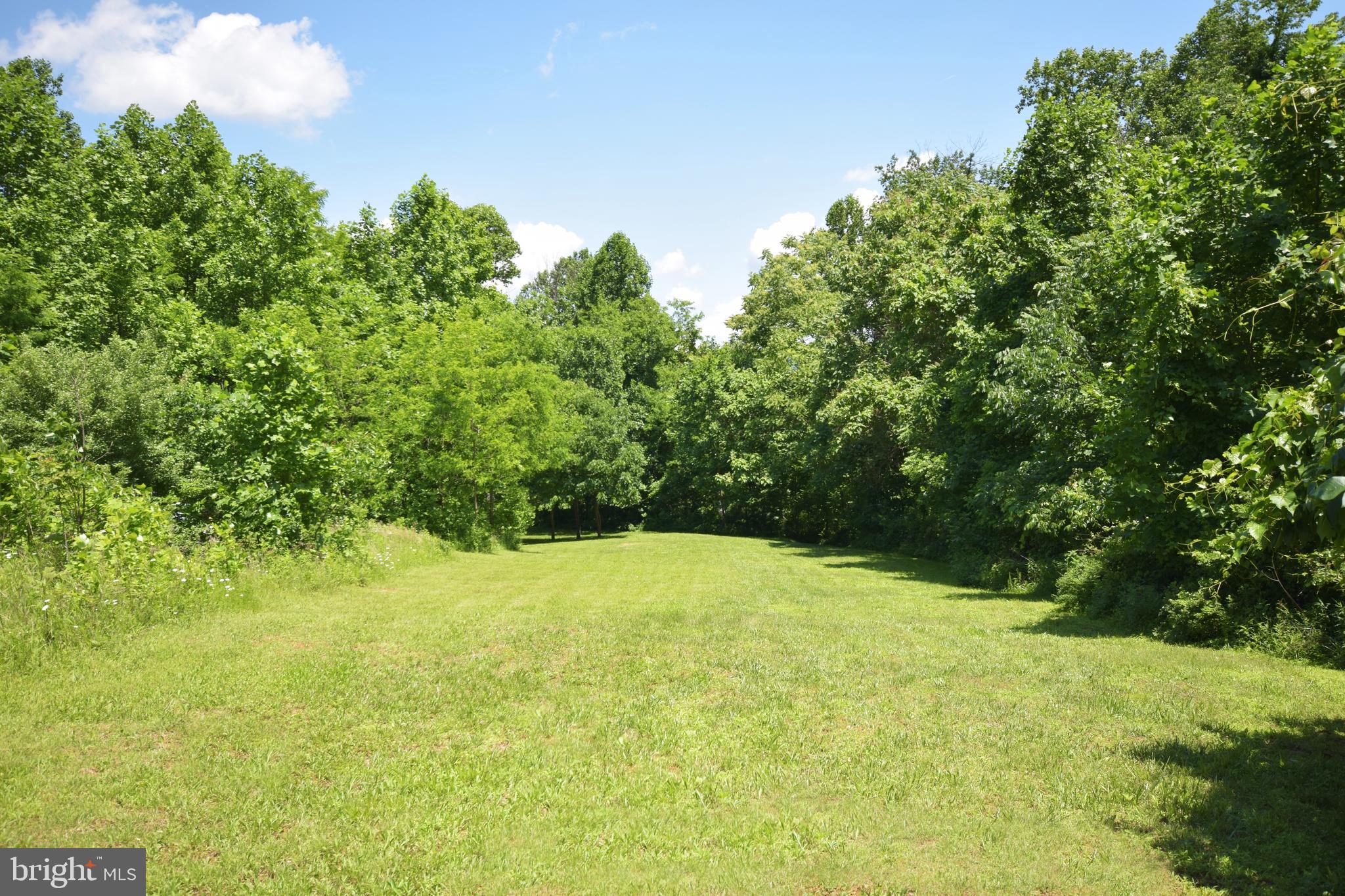 0 CCC Road Linden, VA 22642 - Photo 13 of 53