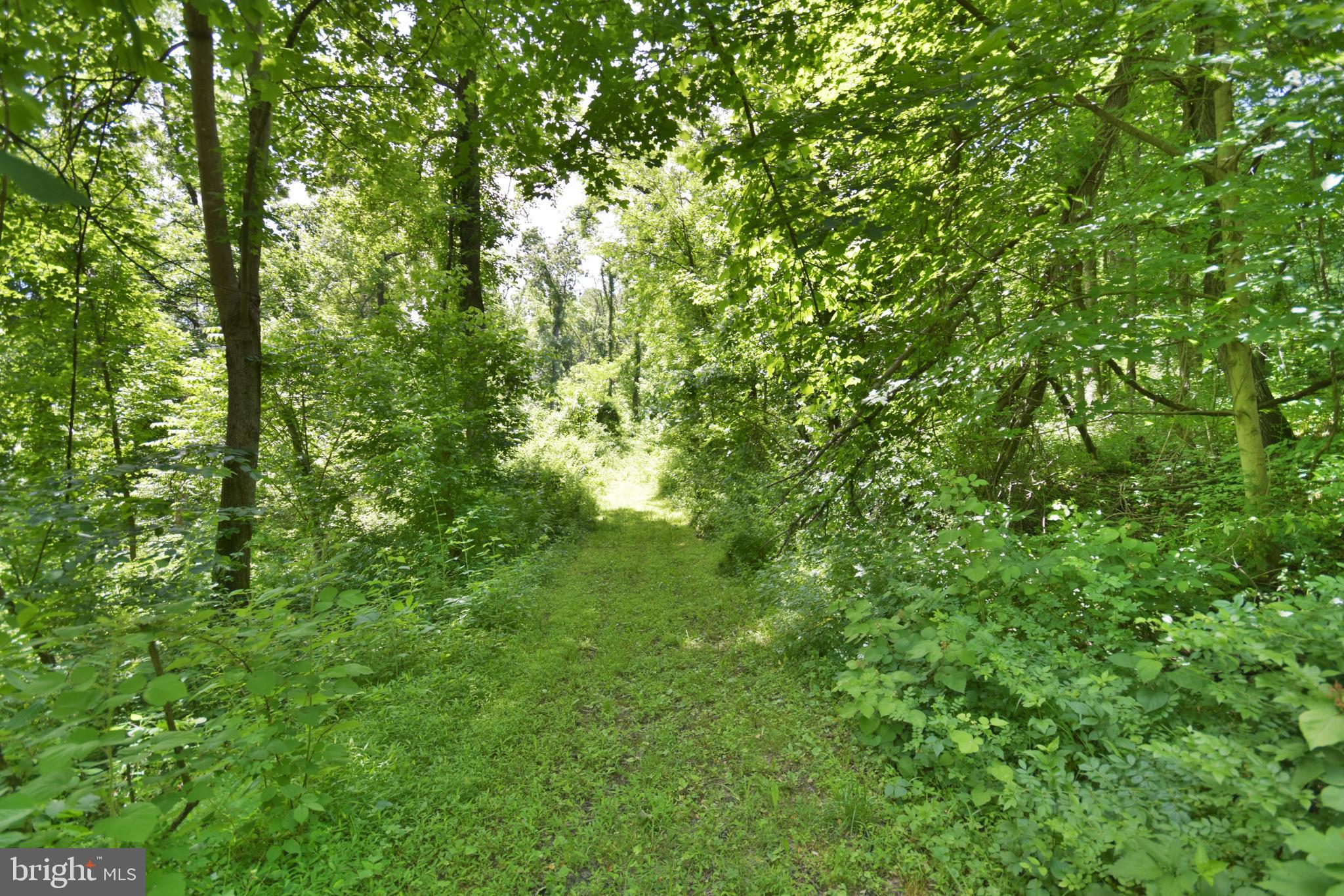 0 CCC Road Linden, VA 22642 - Photo 14 of 53