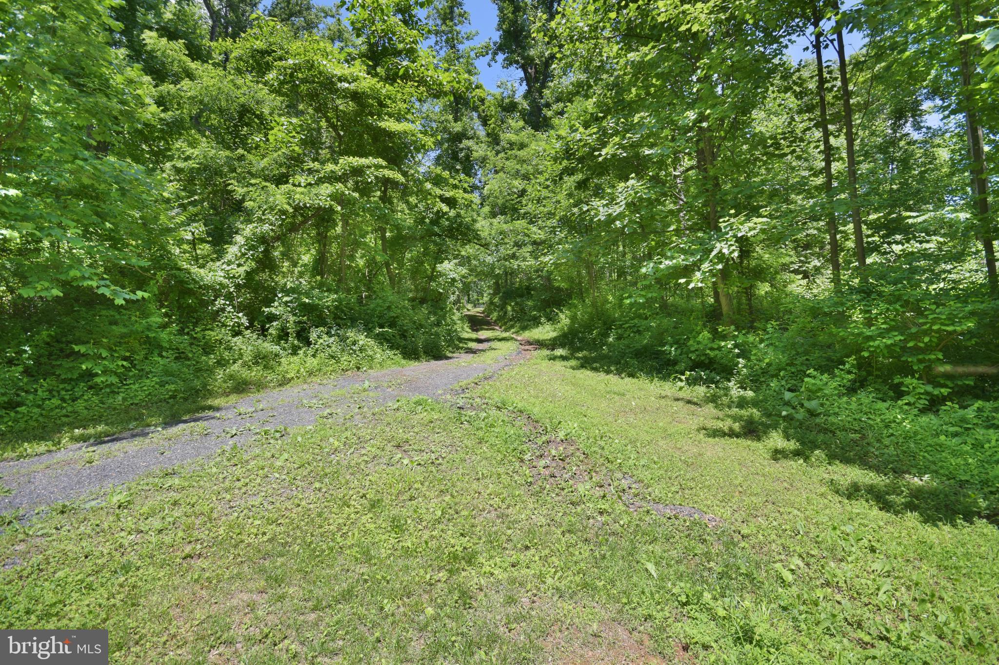 0 CCC Road Linden, VA 22642 - Photo 15 of 53