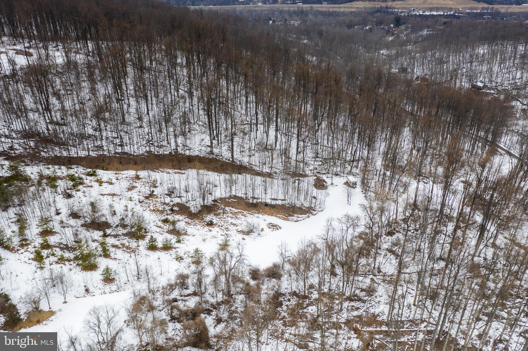 0 CCC Road Linden, VA 22642 - Photo 3 of 53