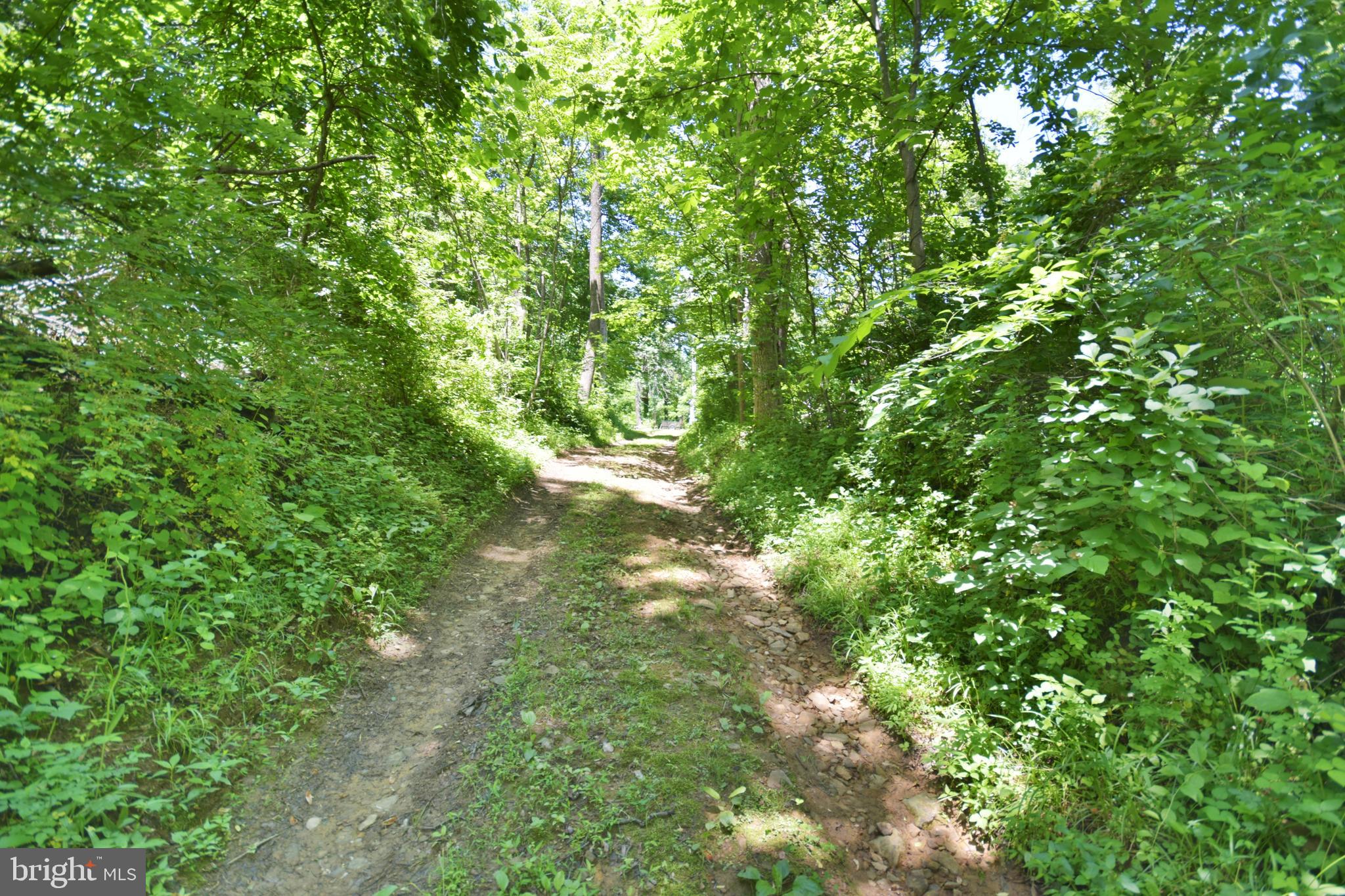 0 CCC Road Linden, VA 22642 - Photo 25 of 53