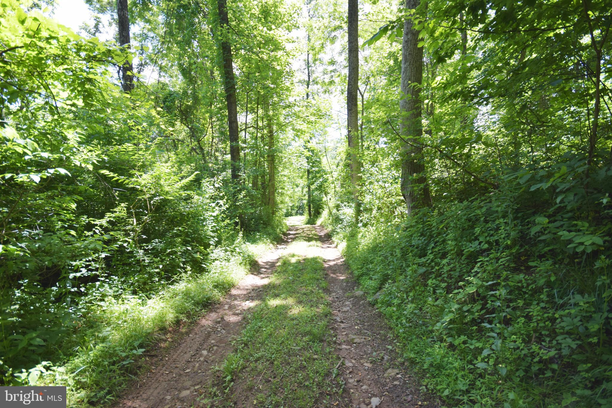 0 CCC Road Linden, VA 22642 - Photo 26 of 53