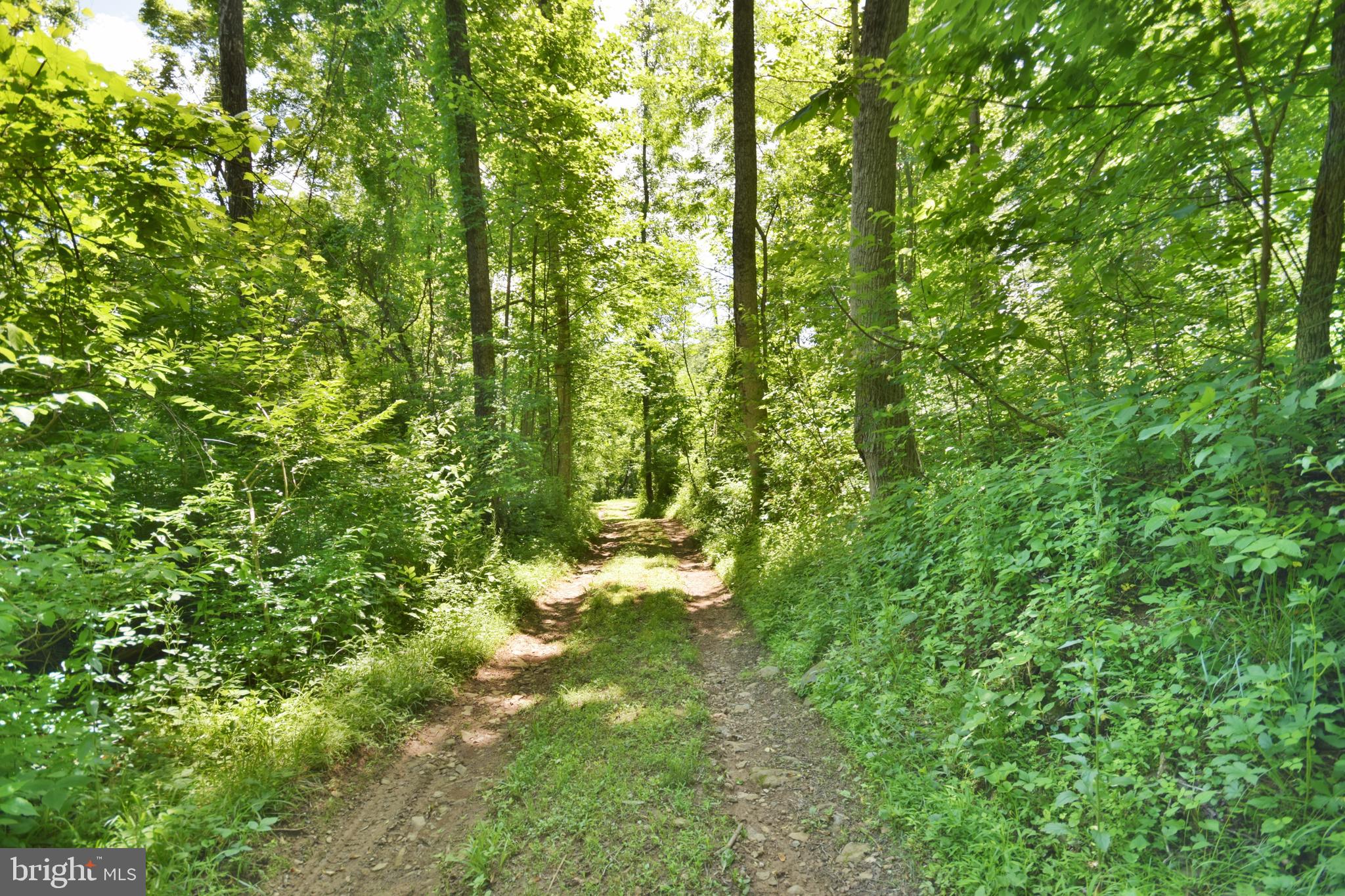 0 CCC Road Linden, VA 22642 - Photo 27 of 53