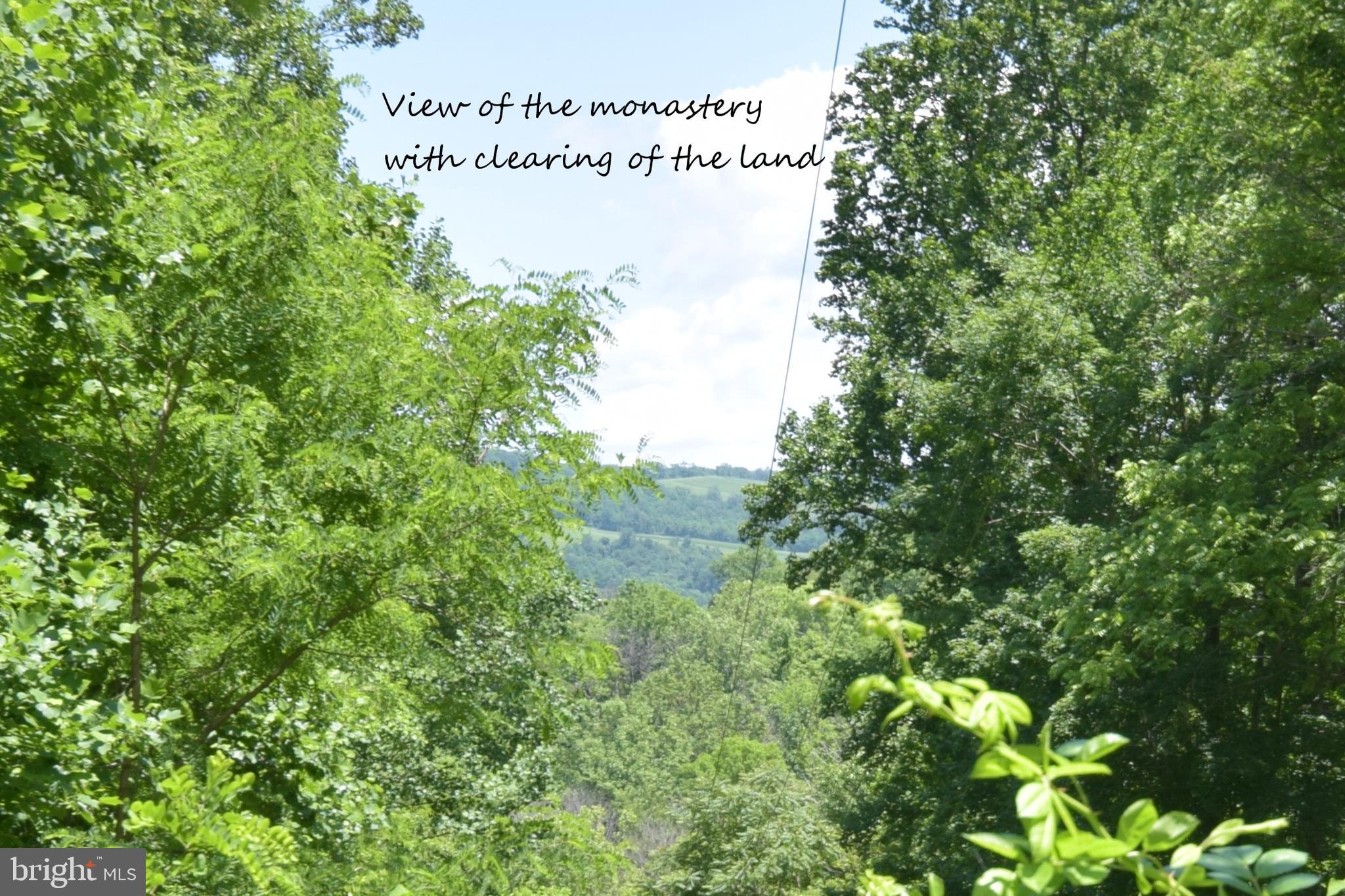 0 CCC Road Linden, VA 22642 - Photo 28 of 53