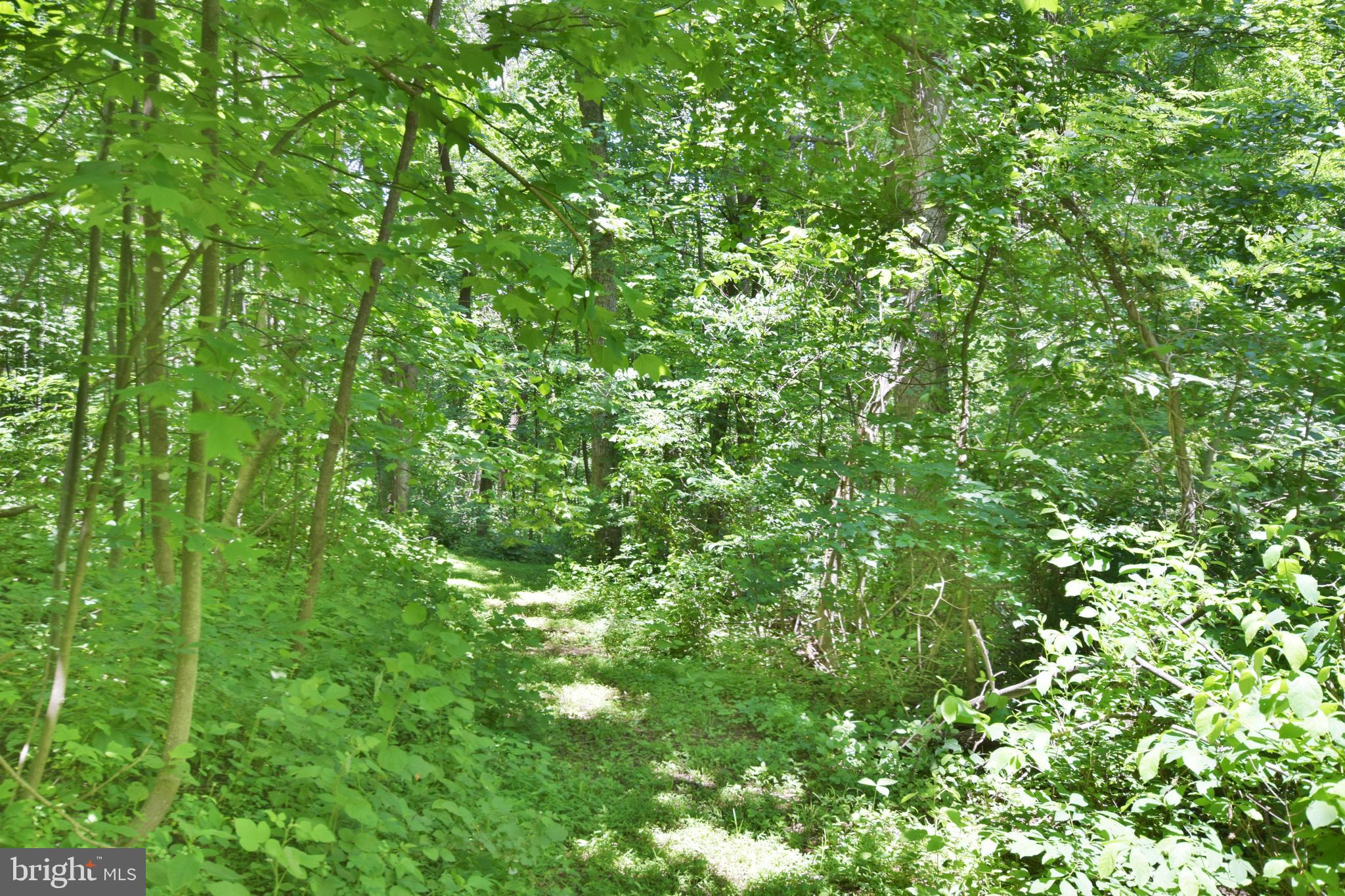 0 CCC Road Linden, VA 22642 - Photo 29 of 53