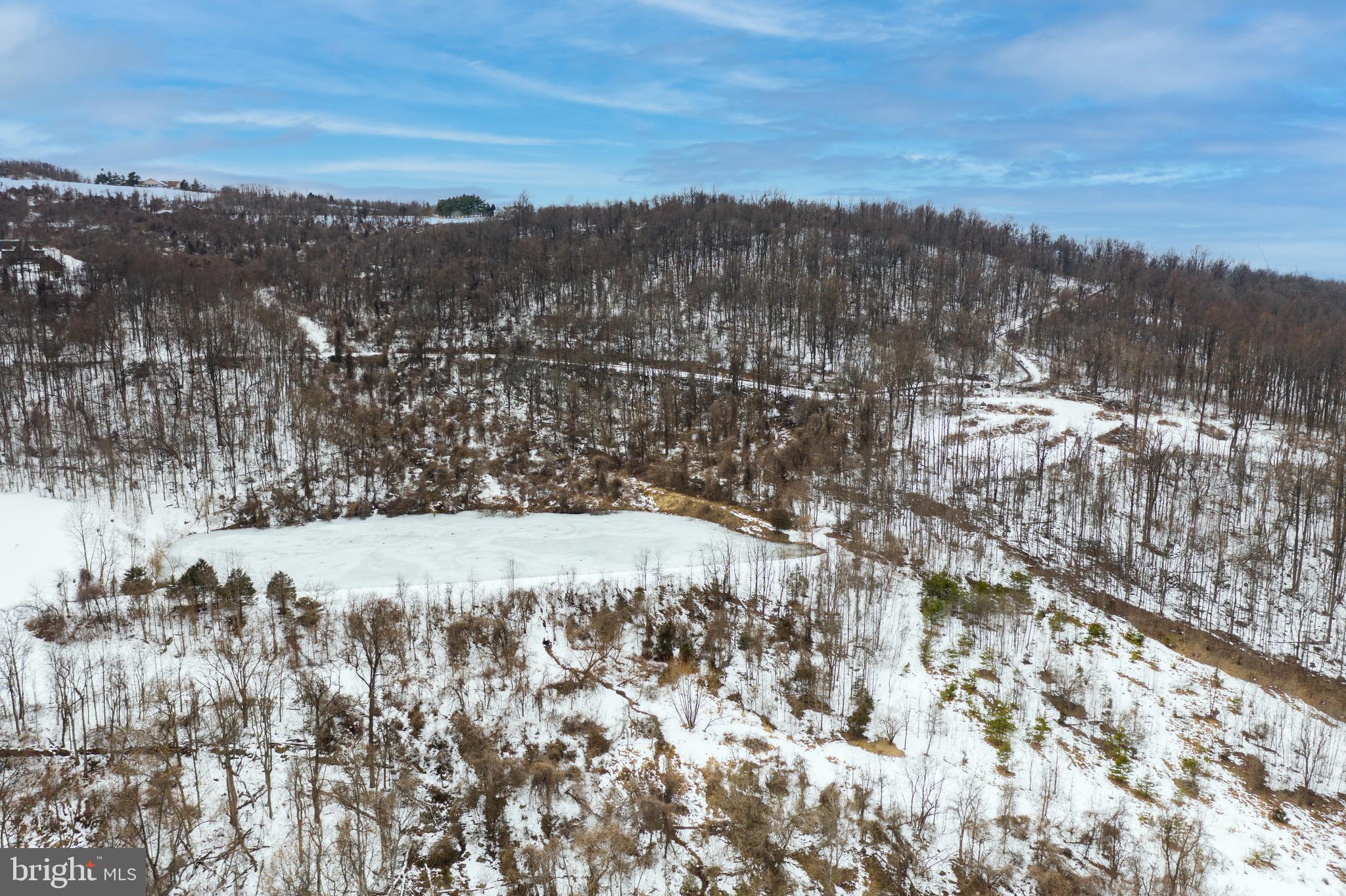 0 CCC Road Linden, VA 22642 - Photo 4 of 53