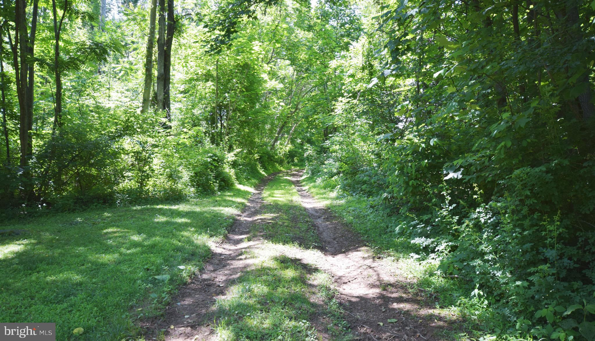 0 CCC Road Linden, VA 22642 - Photo 31 of 53