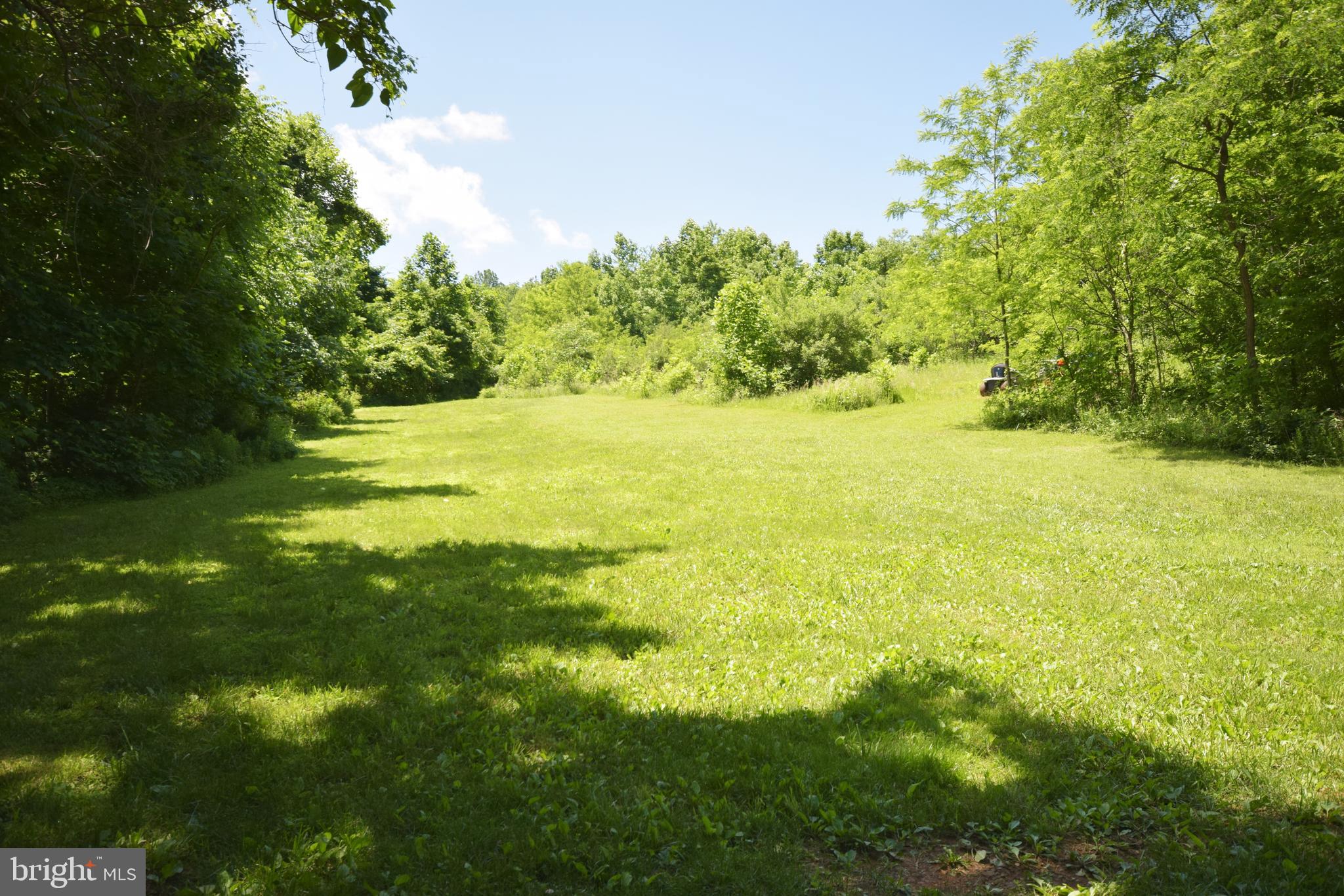 0 CCC Road Linden, VA 22642 - Photo 32 of 53