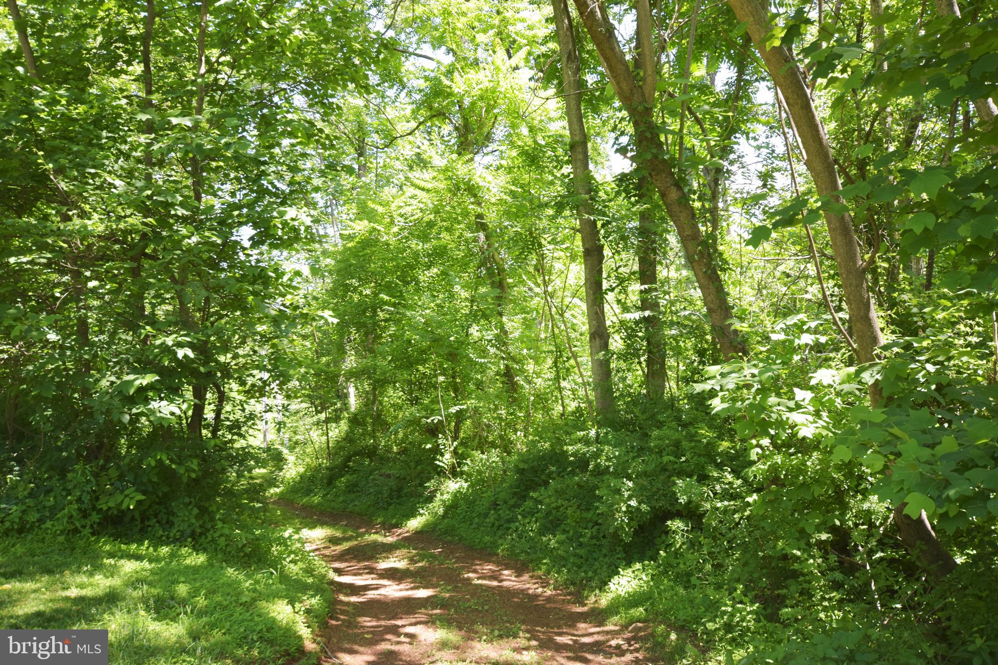 0 CCC Road Linden, VA 22642 - Photo 33 of 53