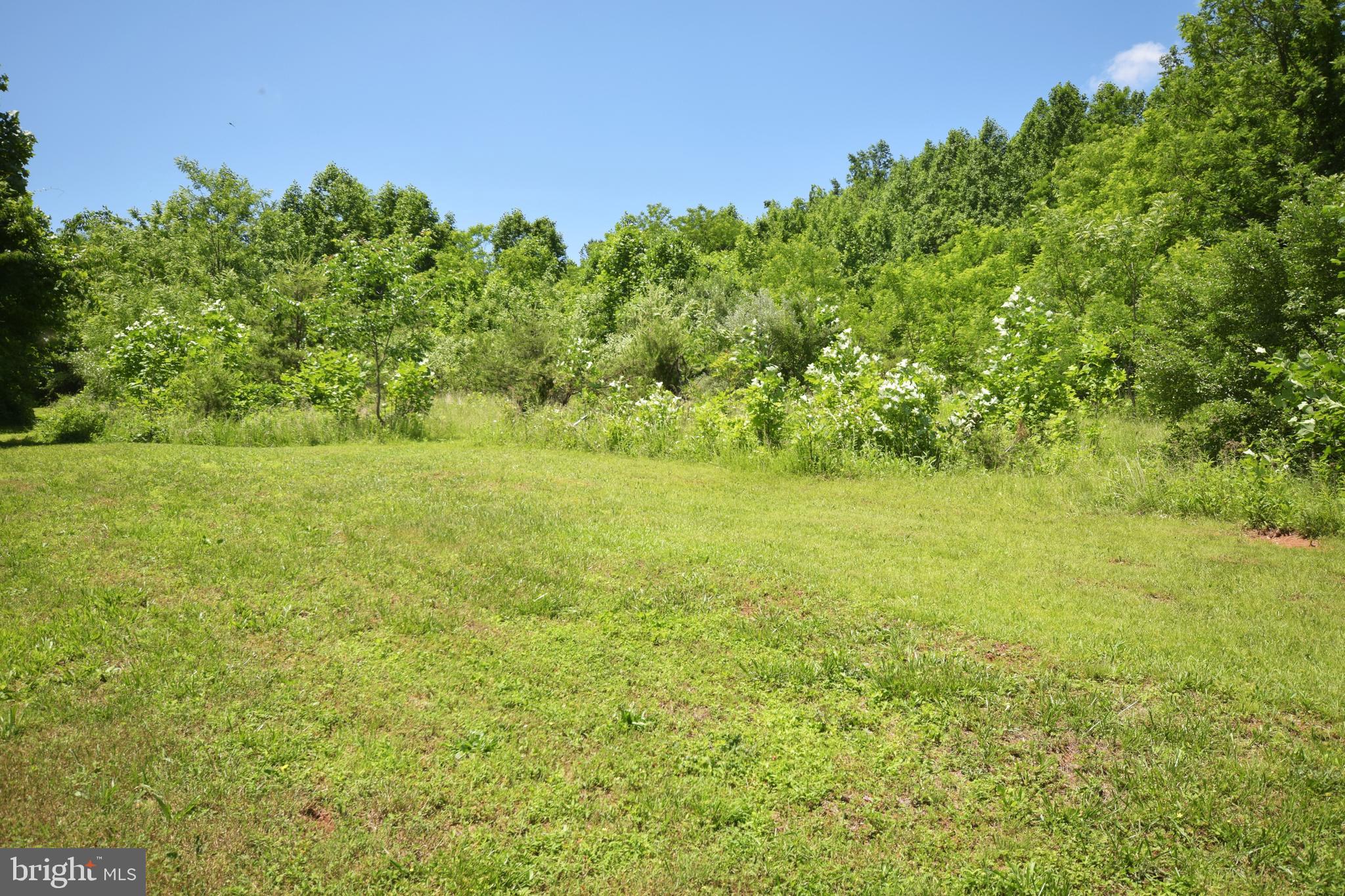 0 CCC Road Linden, VA 22642 - Photo 34 of 53