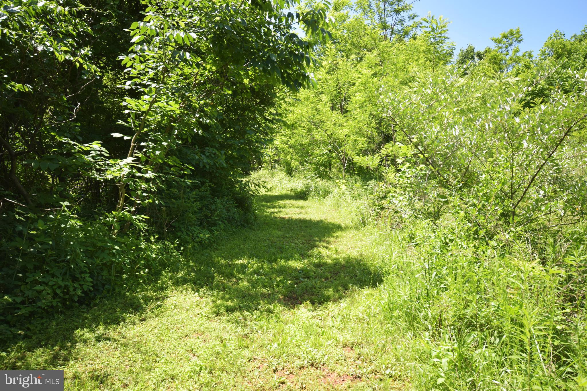 0 CCC Road Linden, VA 22642 - Photo 35 of 53