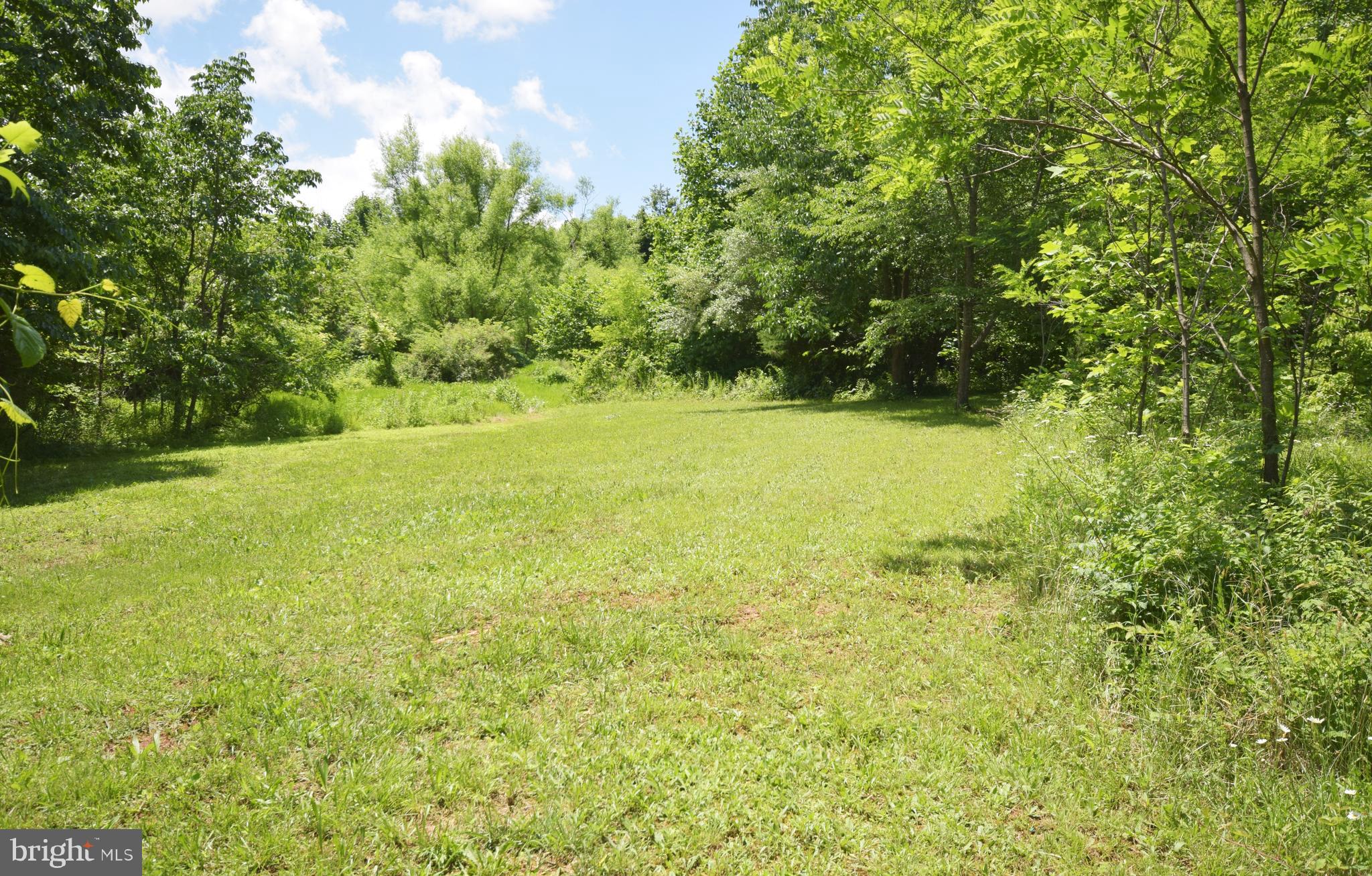 0 CCC Road Linden, VA 22642 - Photo 36 of 53