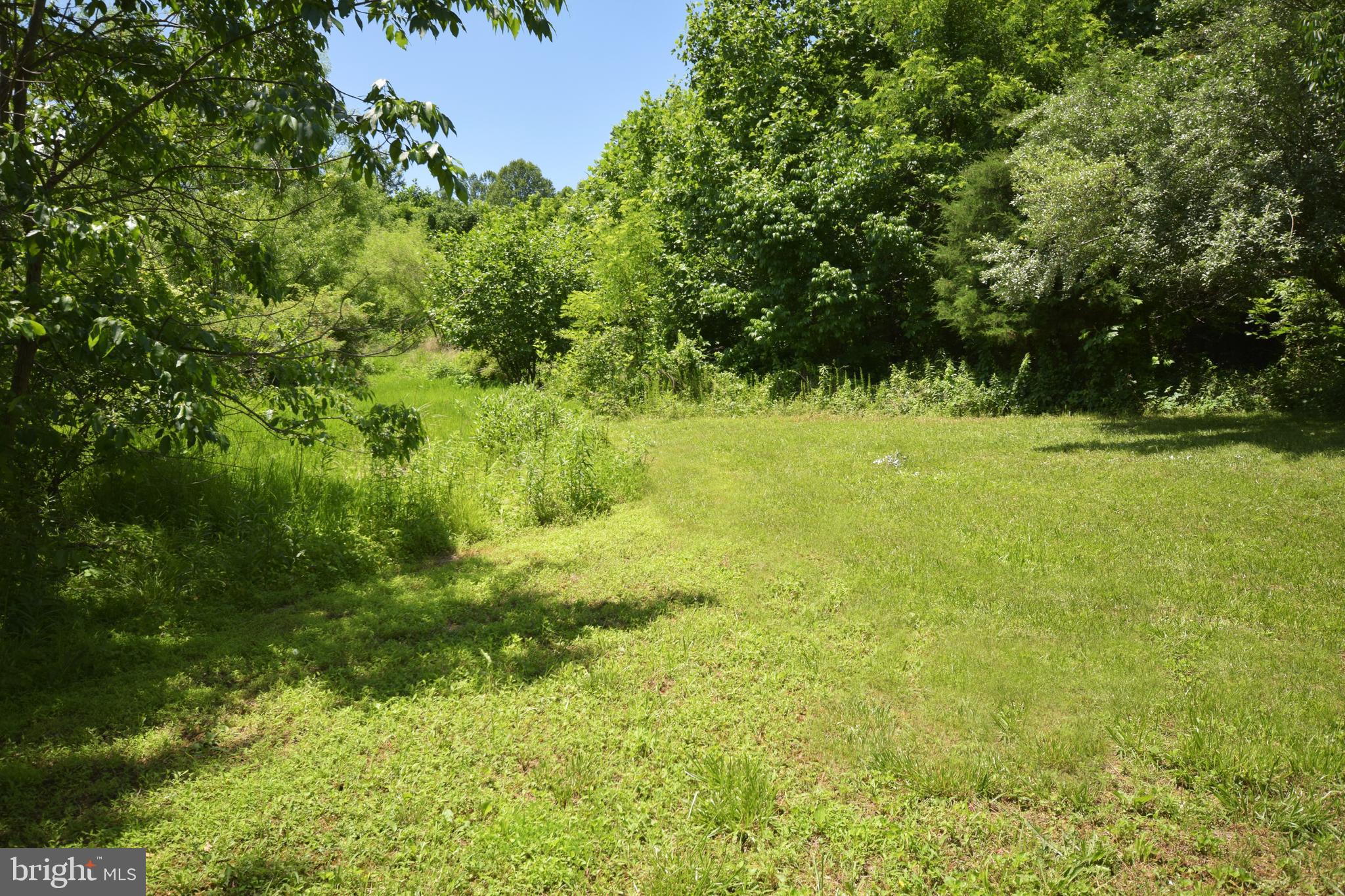 0 CCC Road Linden, VA 22642 - Photo 37 of 53