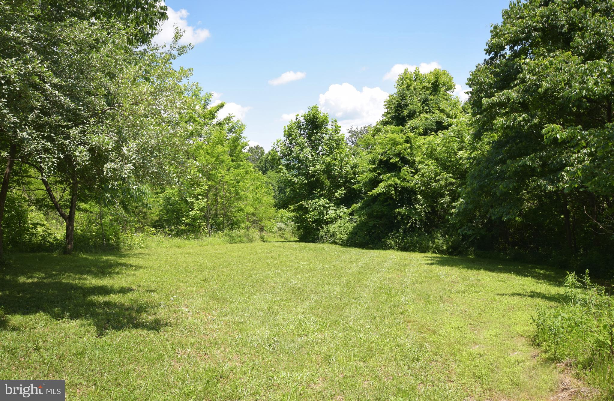 0 CCC Road Linden, VA 22642 - Photo 38 of 53