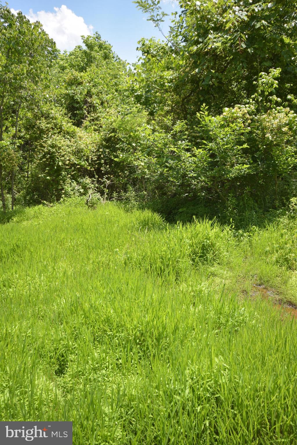 0 CCC Road Linden, VA 22642 - Photo 39 of 53