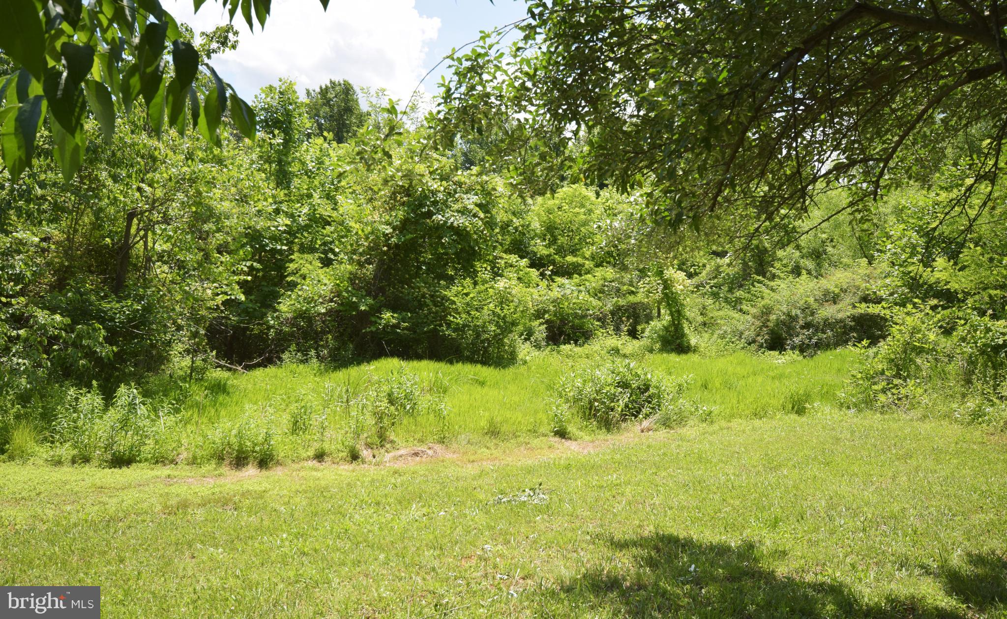 0 CCC Road Linden, VA 22642 - Photo 40 of 53