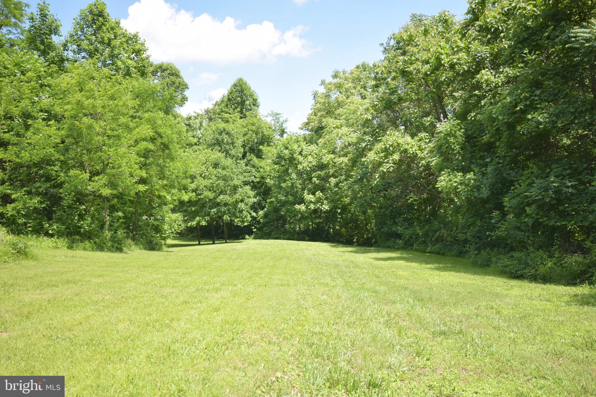 0 CCC Road Linden, VA 22642 - Photo 41 of 53