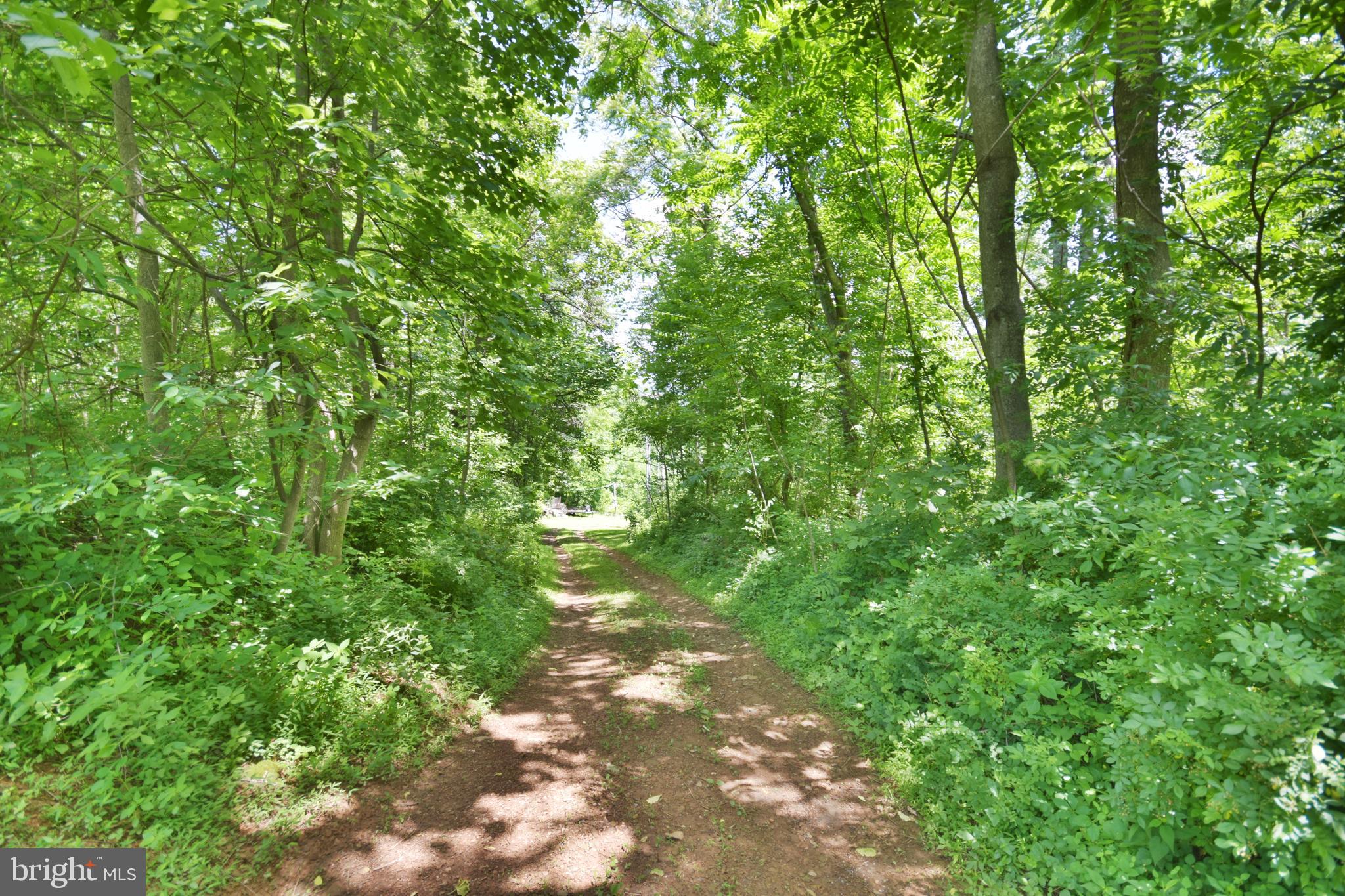 0 CCC Road Linden, VA 22642 - Photo 45 of 53