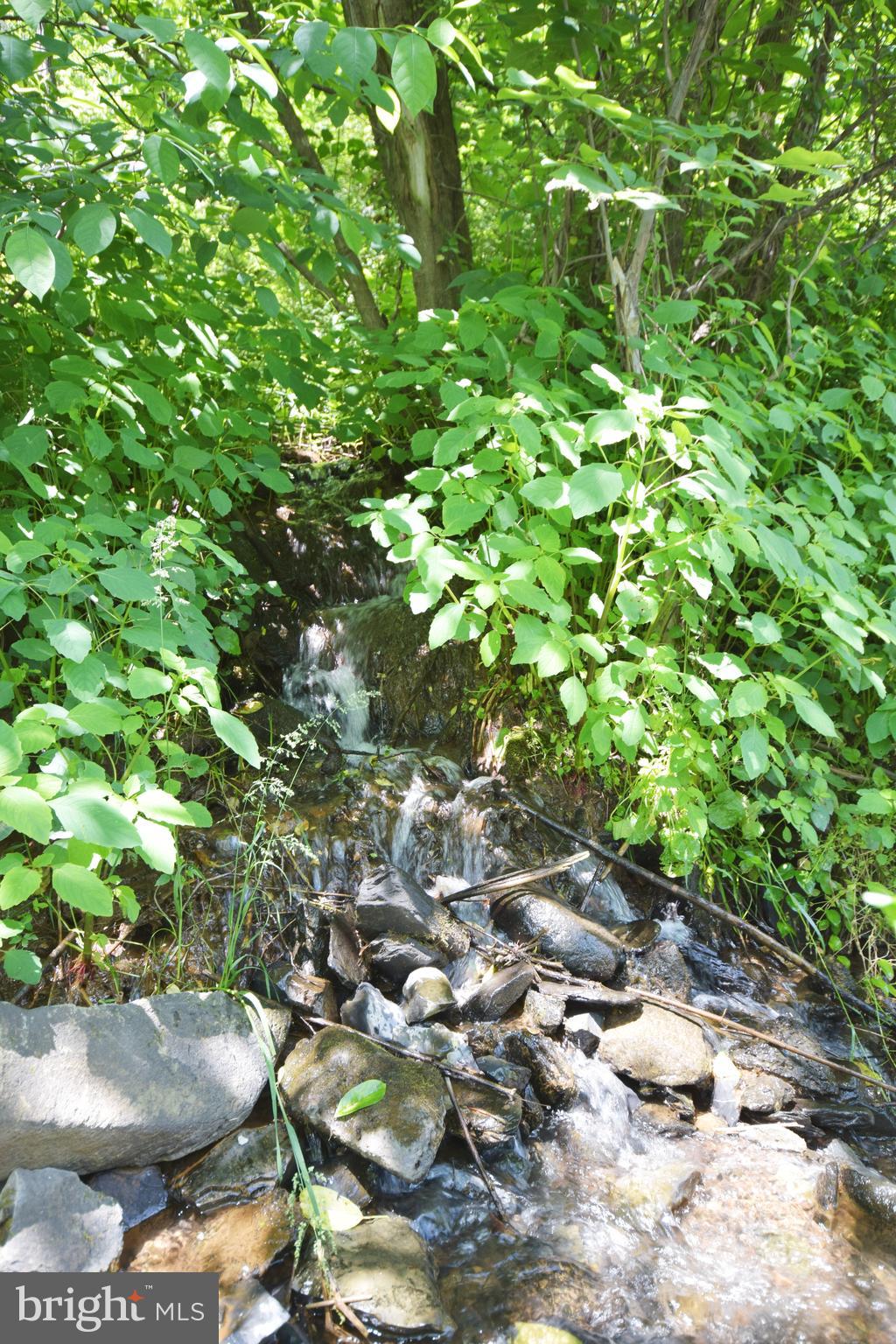 0 CCC Road Linden, VA 22642 - Photo 46 of 53