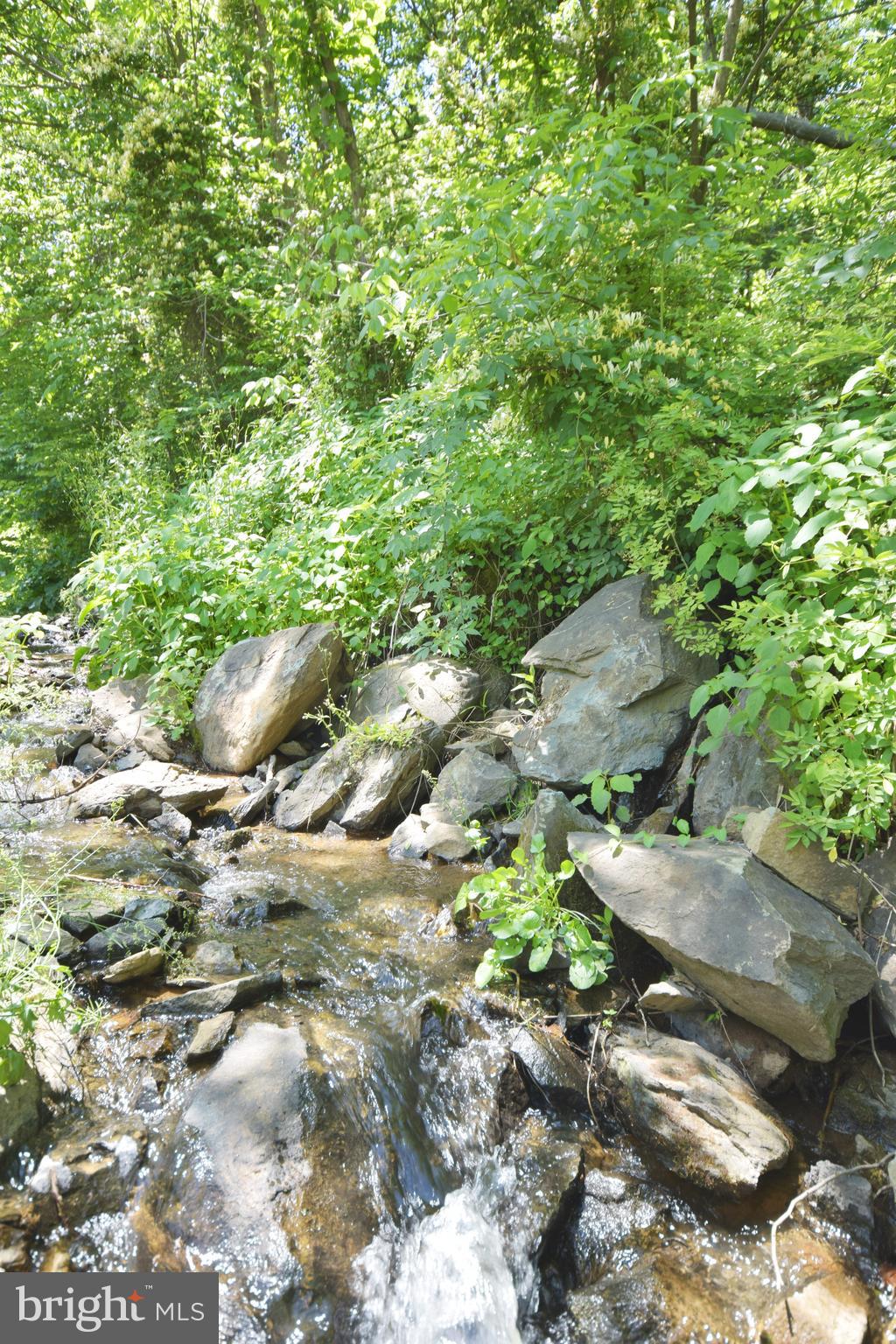 0 CCC Road Linden, VA 22642 - Photo 47 of 53