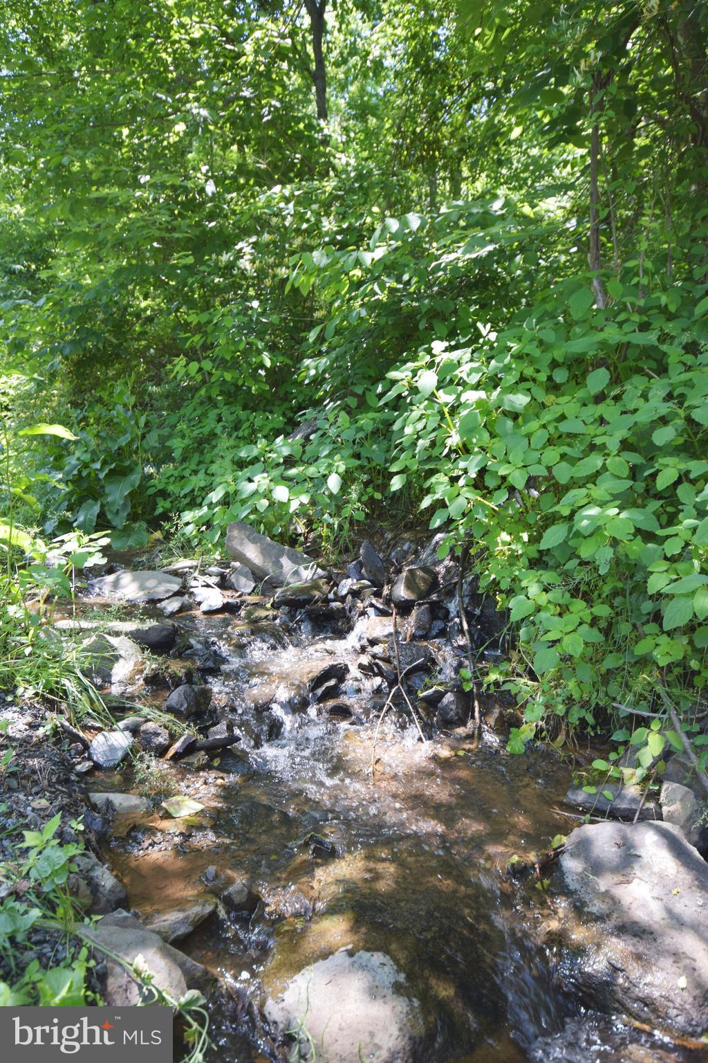 0 CCC Road Linden, VA 22642 - Photo 48 of 53