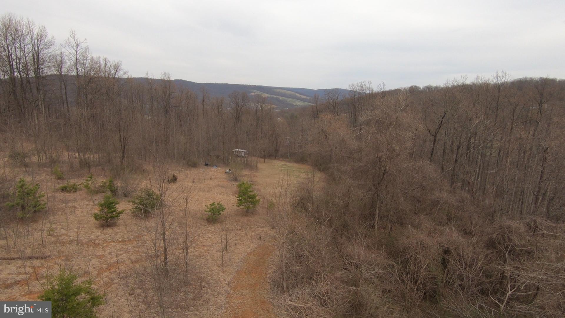 0 CCC Road Linden, VA 22642 - Photo 53 of 53 Aerial View