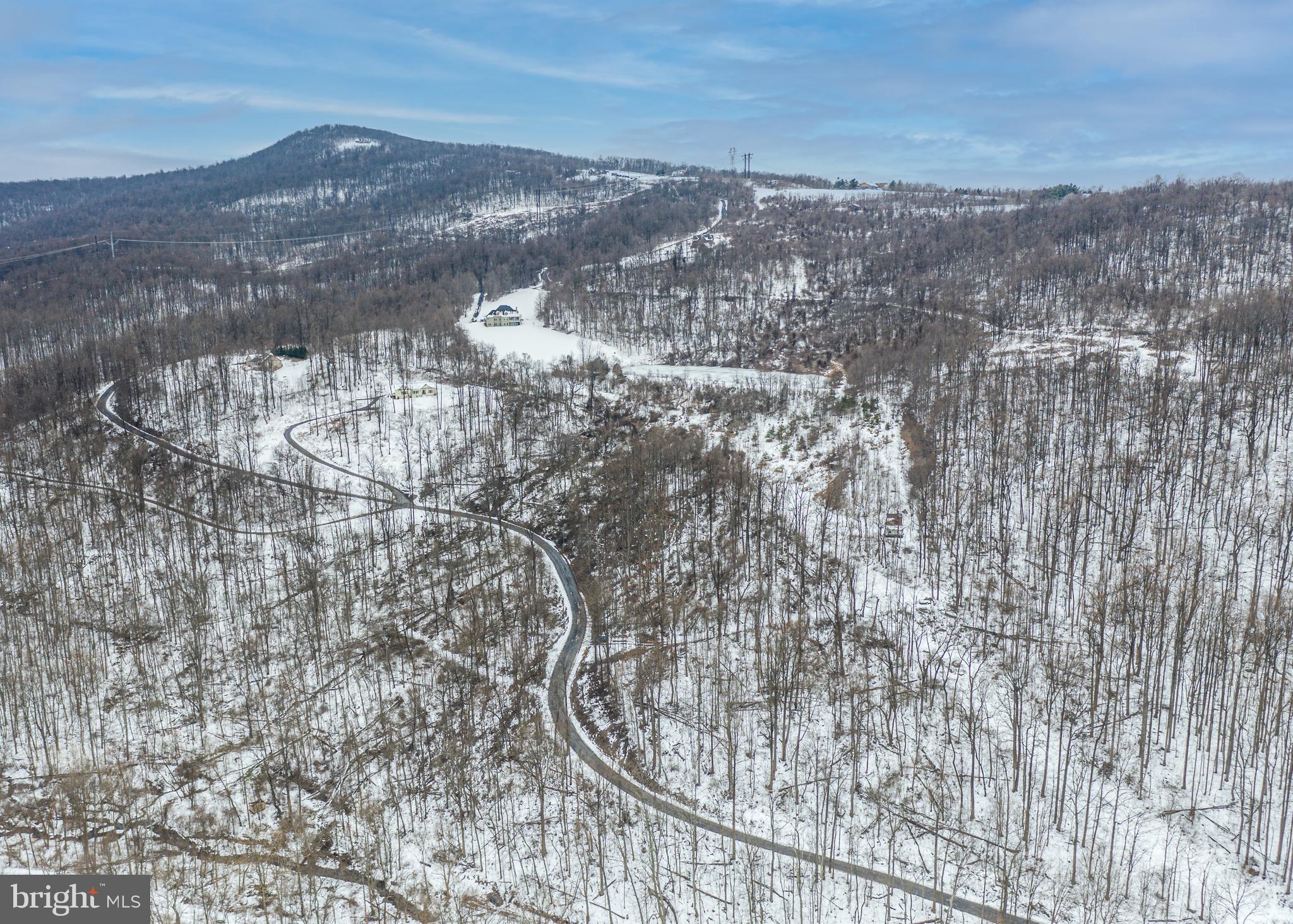 0 CCC Road Linden, VA 22642 - Photo 10 of 53