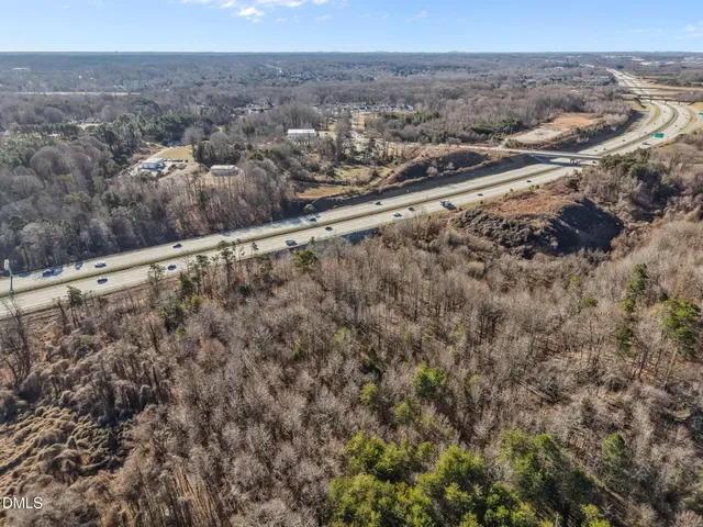 a close up of a tree