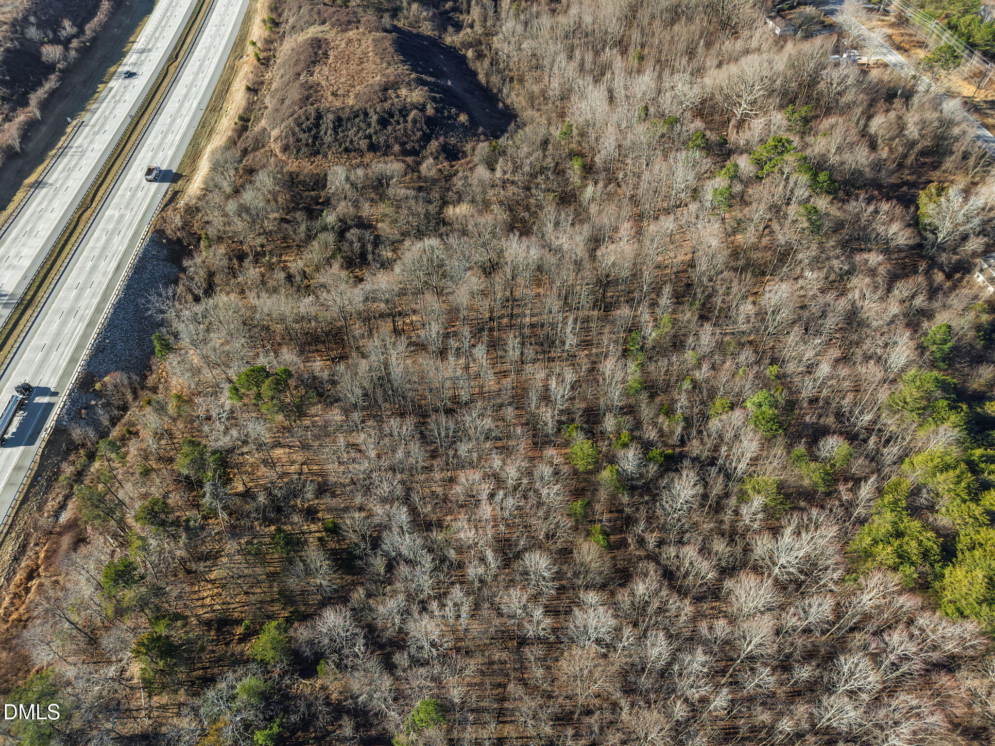 3514 Lewiston Road Greensboro, NC 27410 - Photo 15 of 17 a close up of a tree